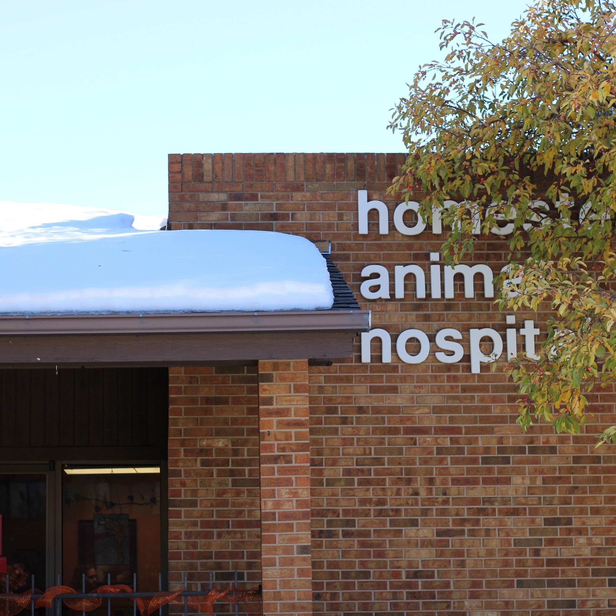 Homestead Animal Hospital Centennial