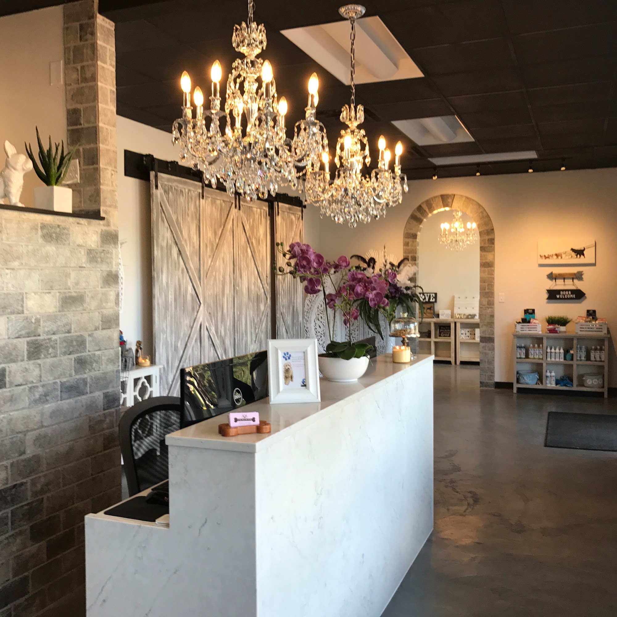 A Clip Above - Pet Styling Centennial