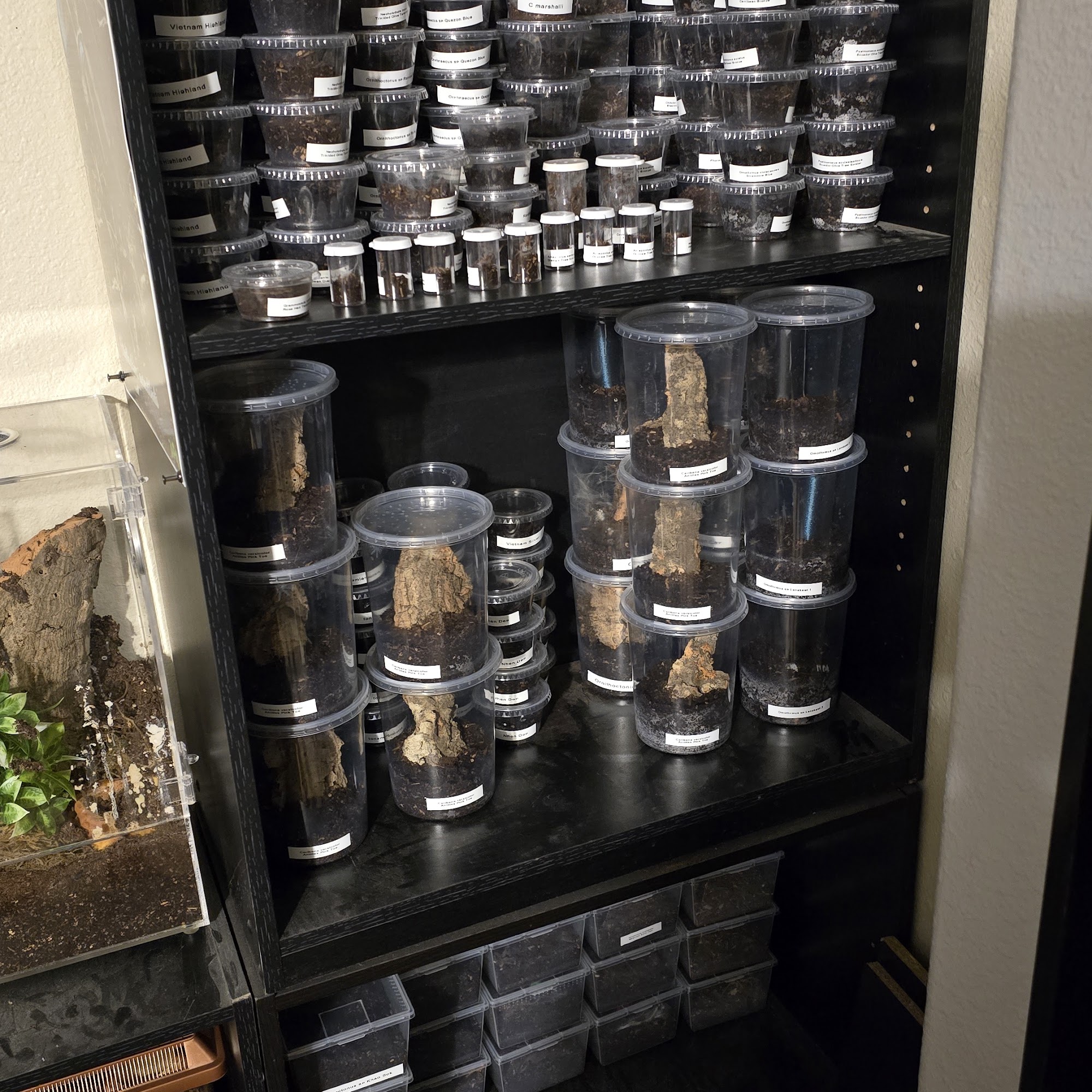 Eight Deadly Sins LLC Clifton