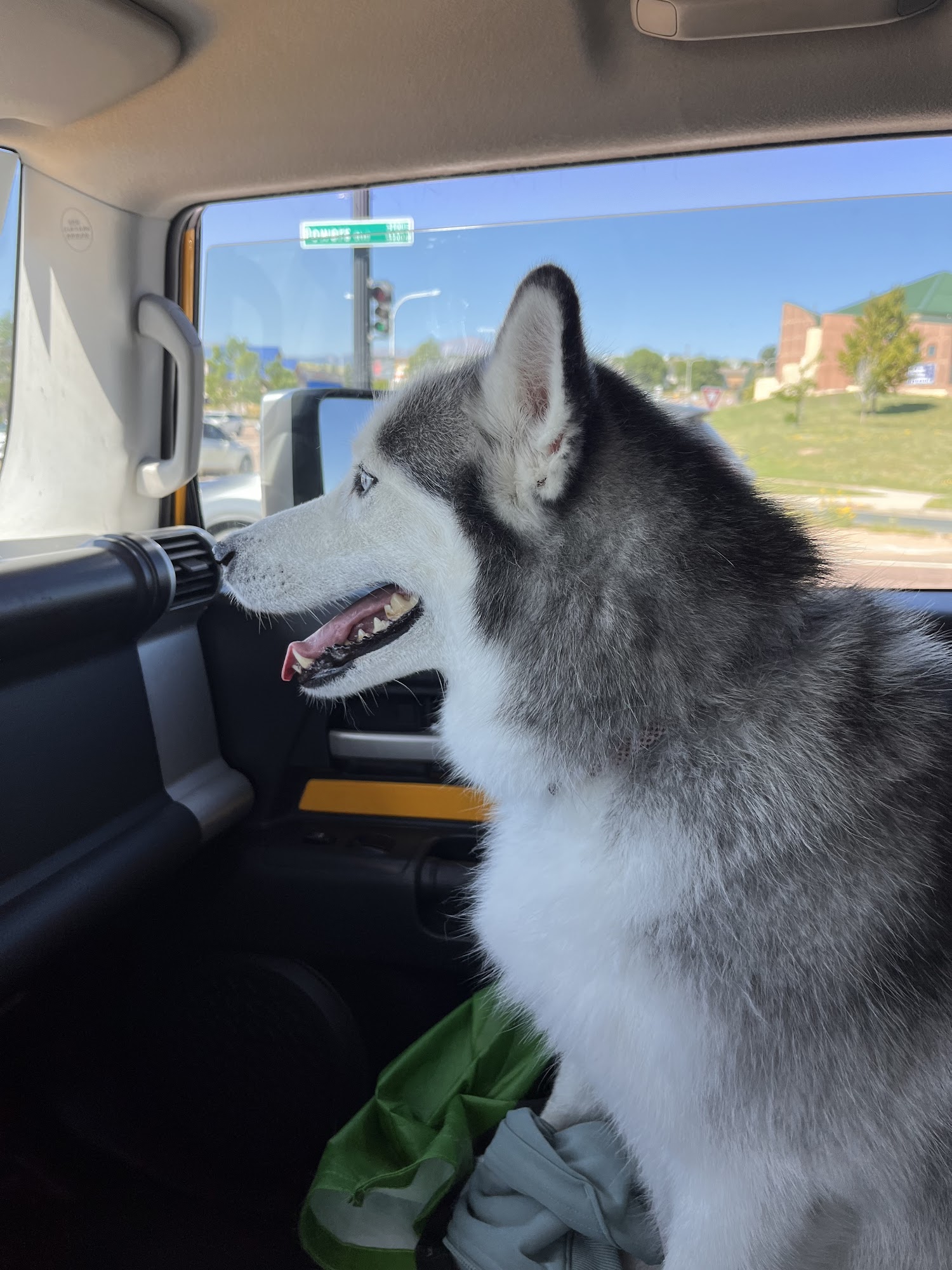 Smudge's Dog House, Boarding Daycare Grooming Self Serve Wash. Colorado Springs