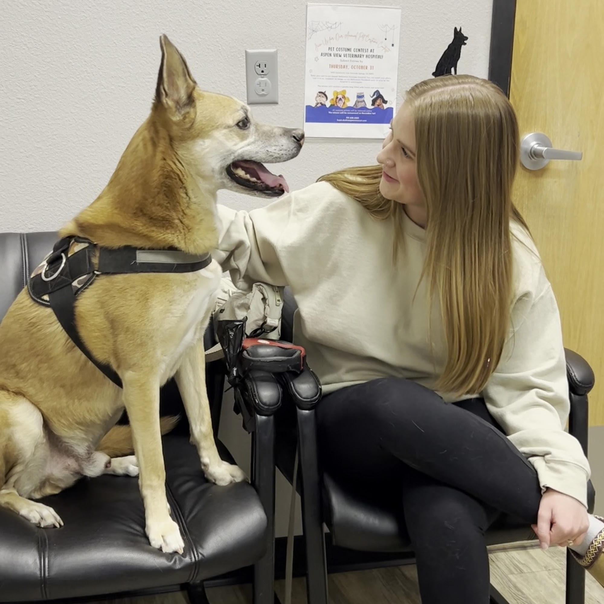 Aspen View Veterinary Hospital Colorado Springs