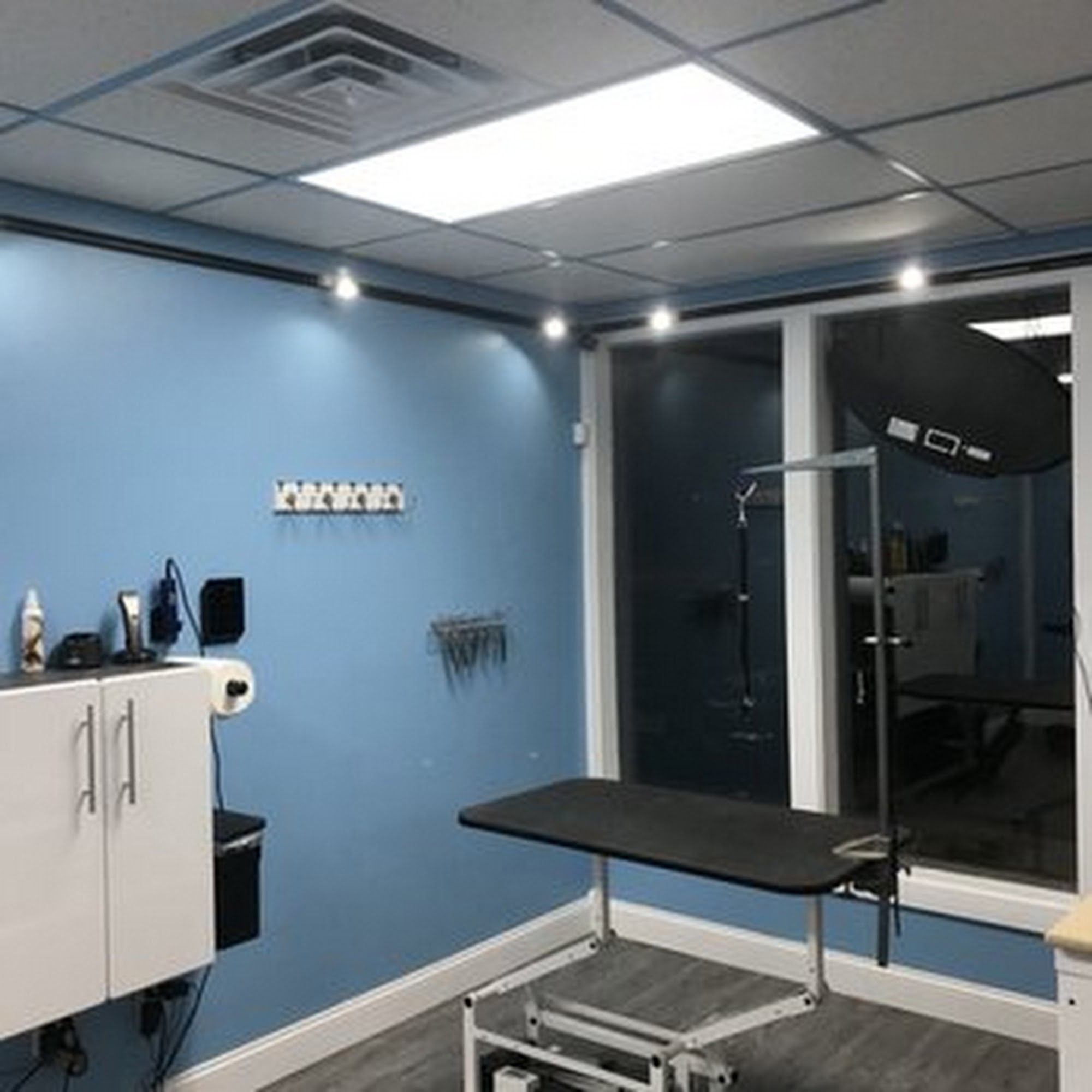 Soggy Doggies Grooming, LLC Colorado Springs