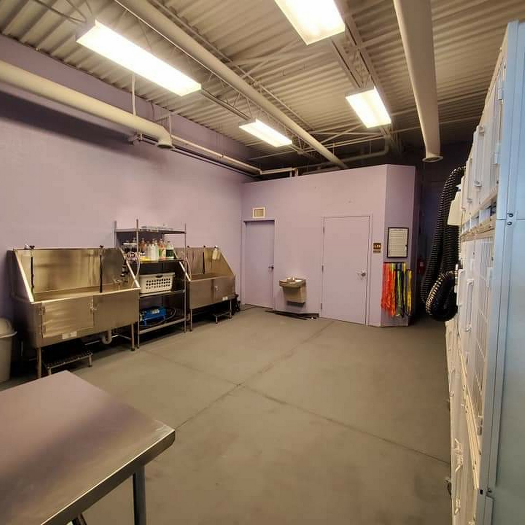 High 10 Pet Spa Colorado Springs