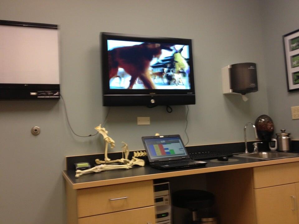 Colorado Canine Orthopedics & Rehab Colorado Springs