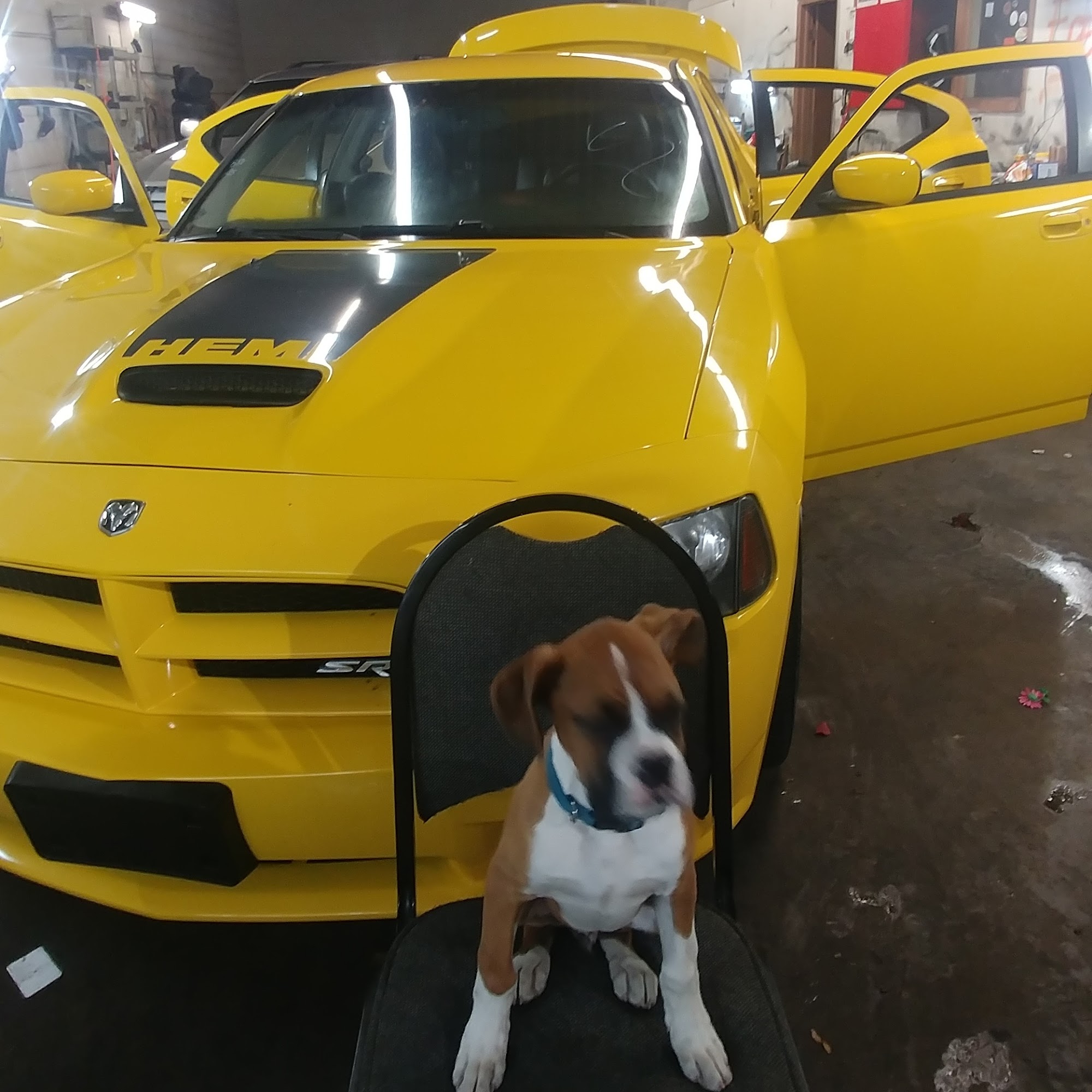 premium auto detailing