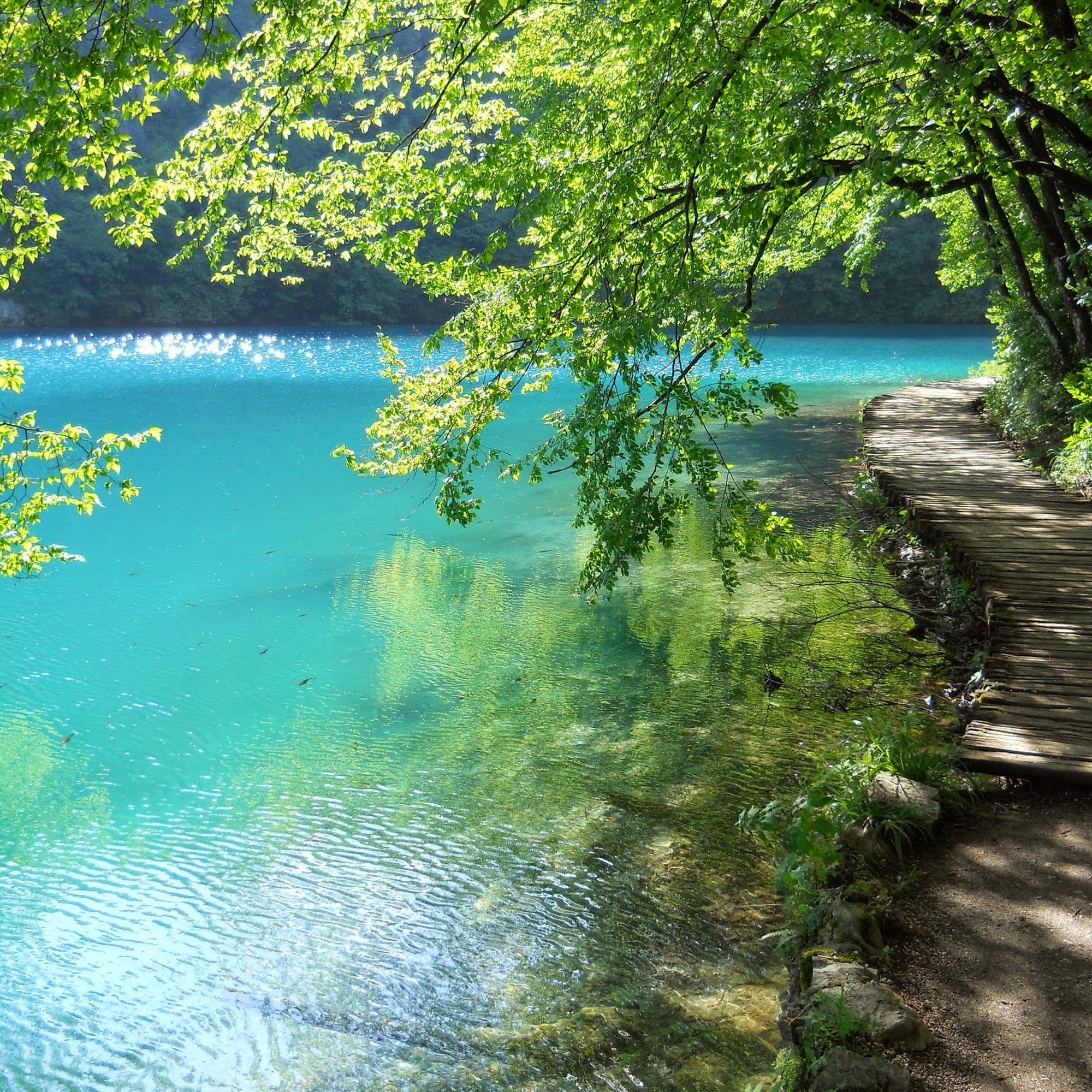 Megan Pfeiffer Miller Voice Studio 1027 E Jackson St, Colorado Springs Colorado 80907