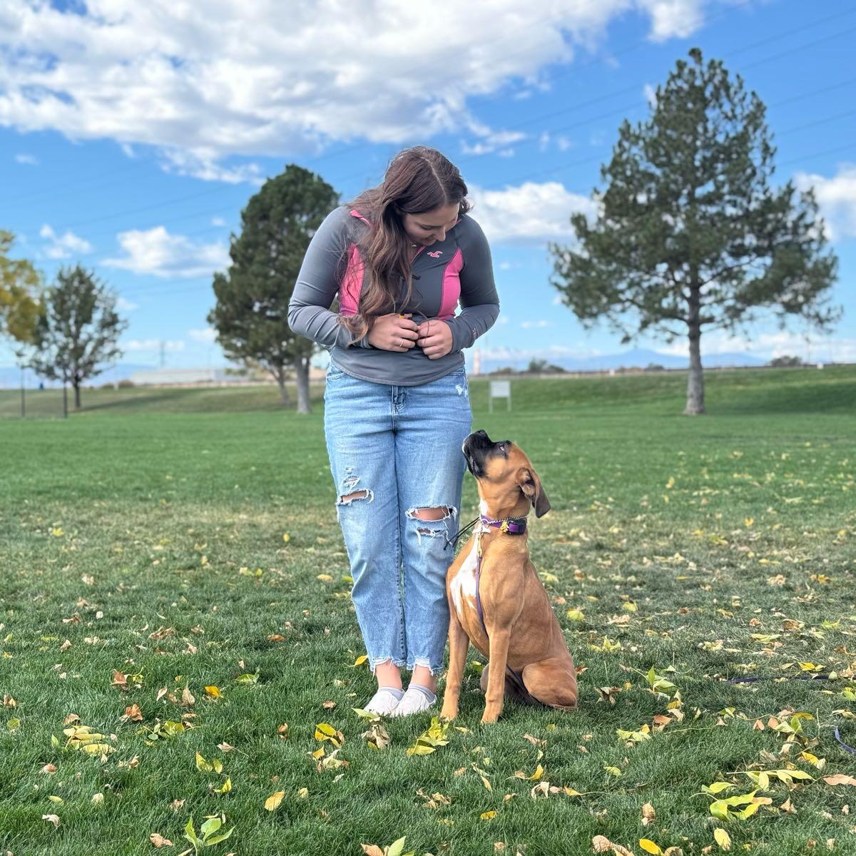 American Canine Academy Commerce City
