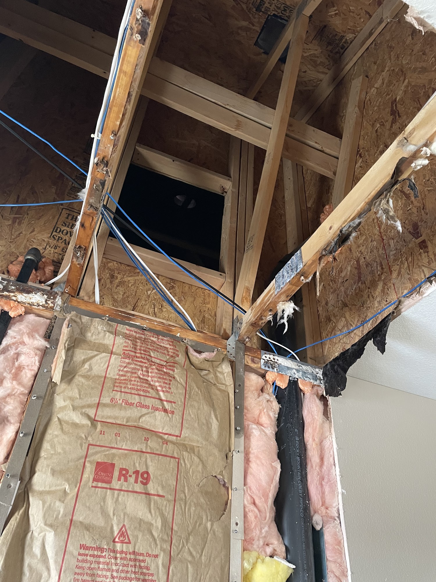 All Dry Services of North Denver & Boulder