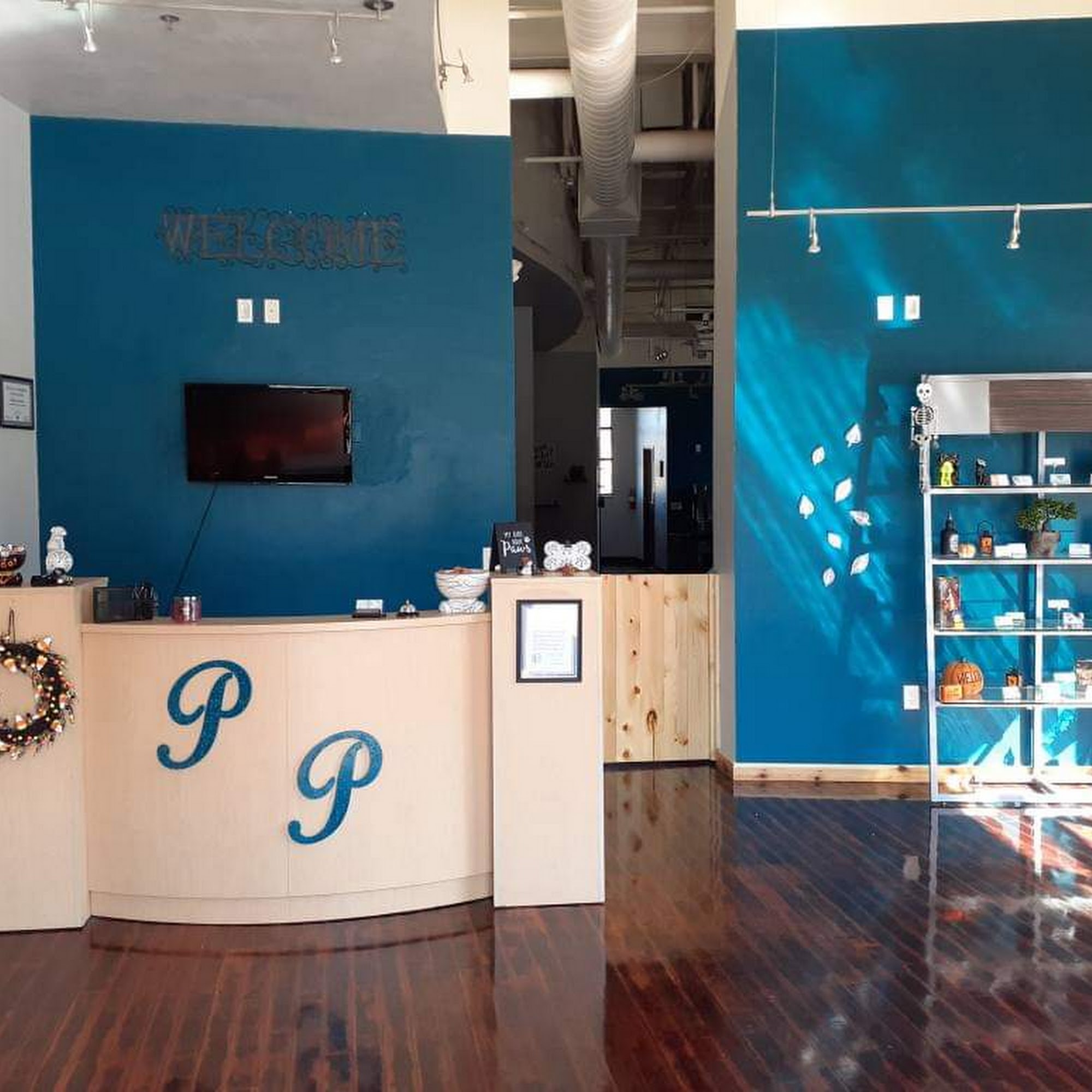 Pawsitively Purrfect LLC Conifer