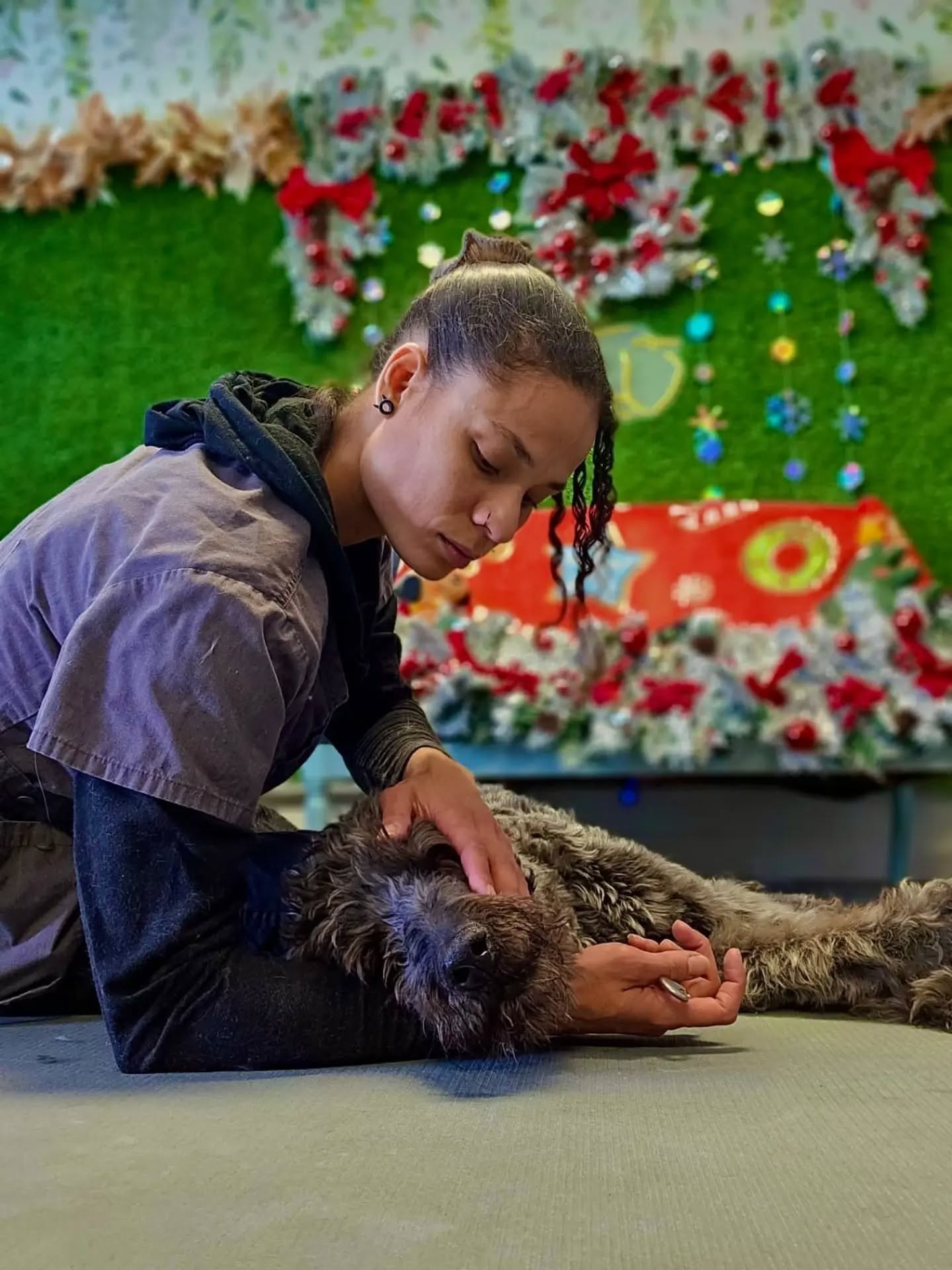 Pet Au Pairs Crested Butte