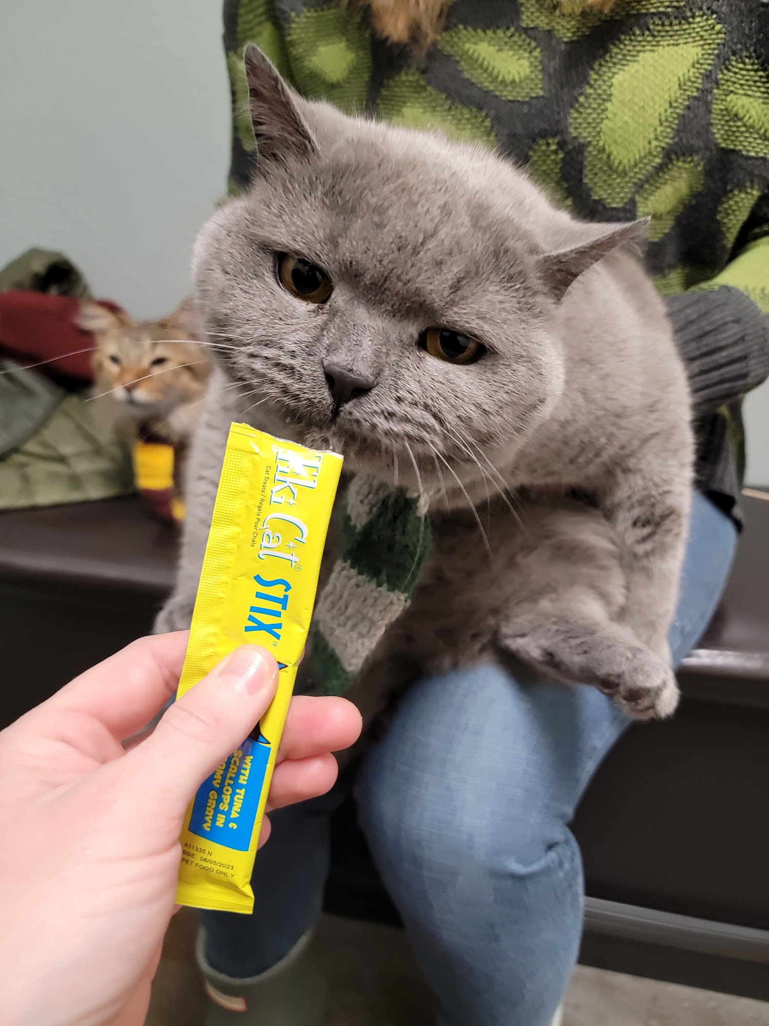 Animal Hospital-Crested Butte Crested Butte