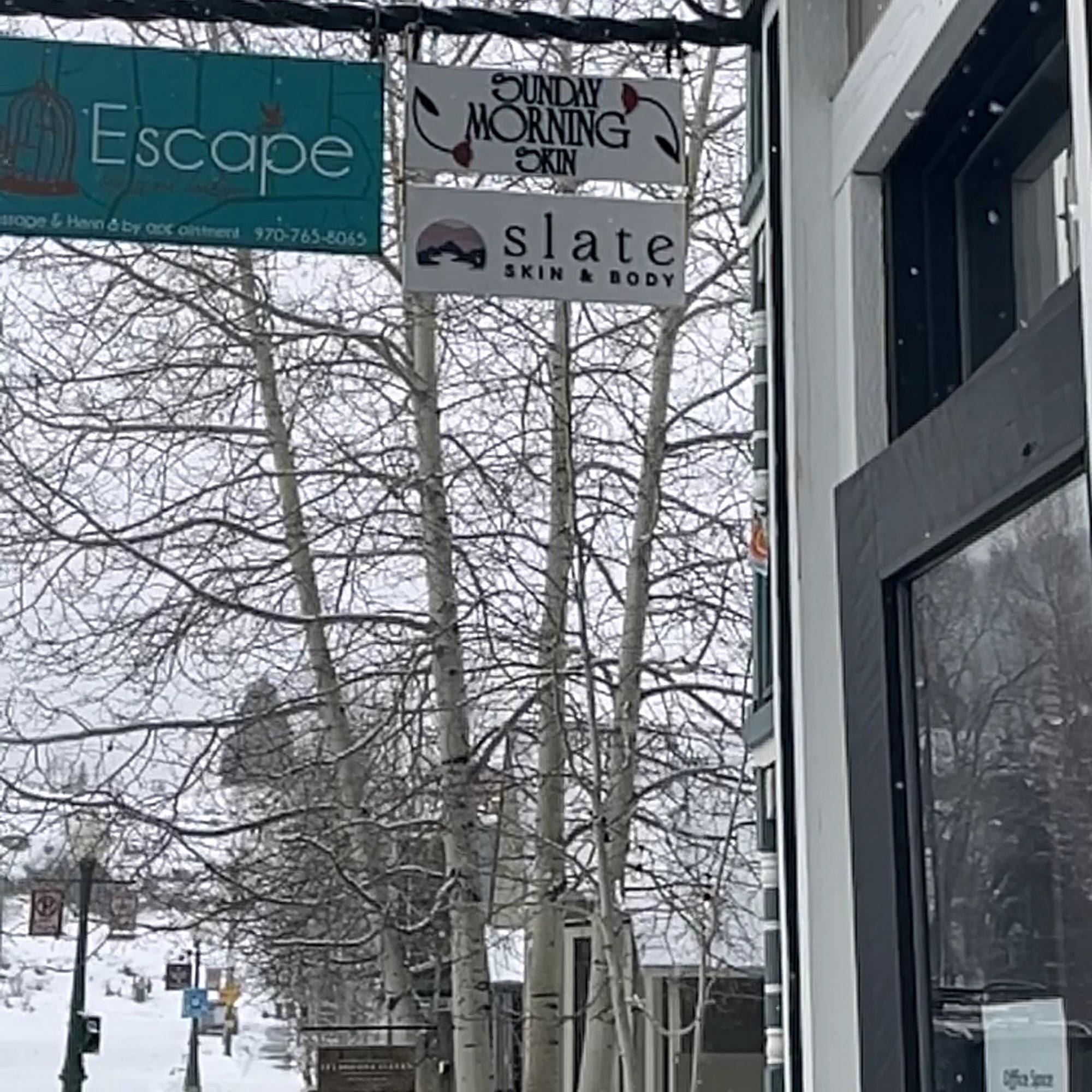 Sunday Morning Skin 115 Elk Ave Unit E, Crested Butte Colorado 81224
