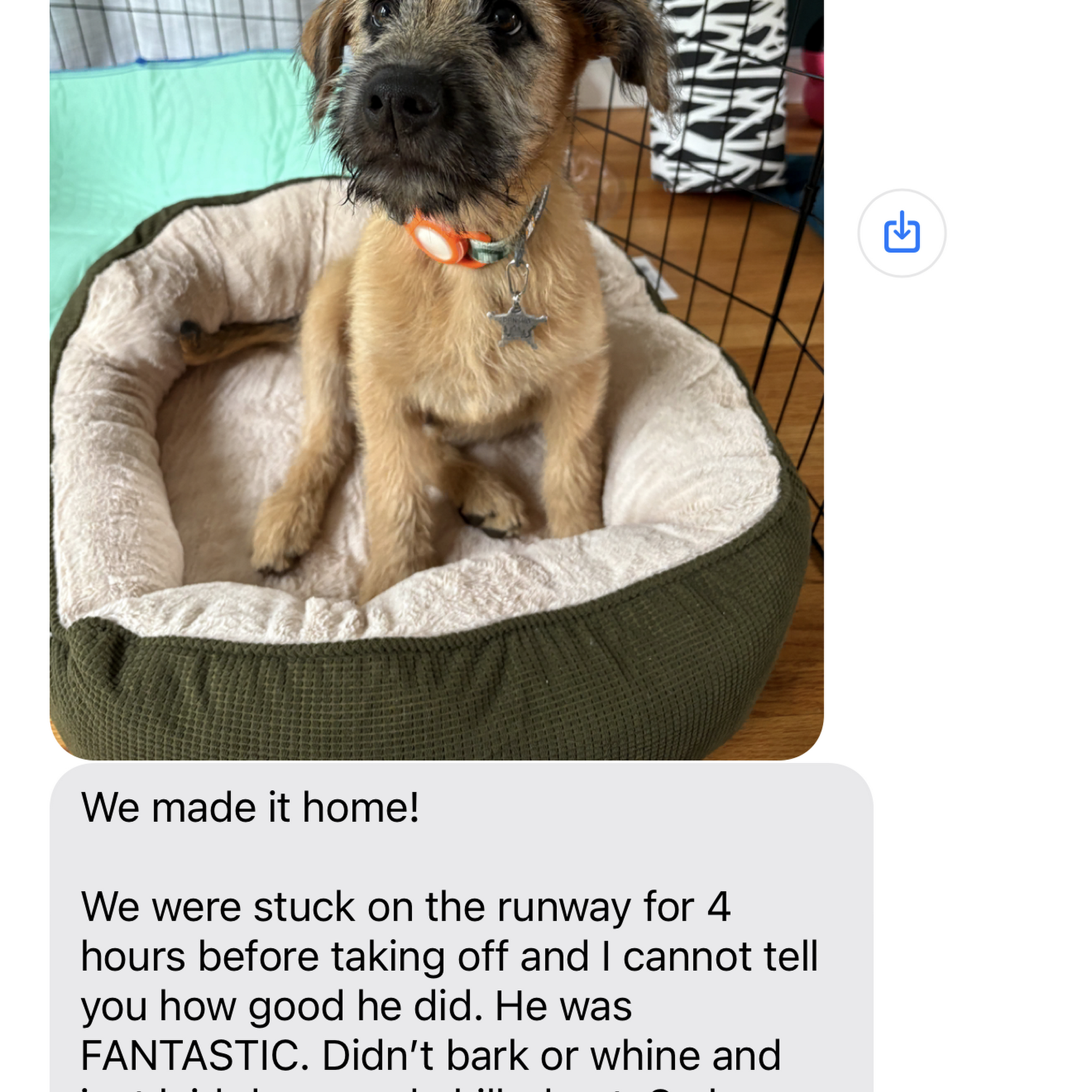 Covenant Keepers K9 Training Facility Delta