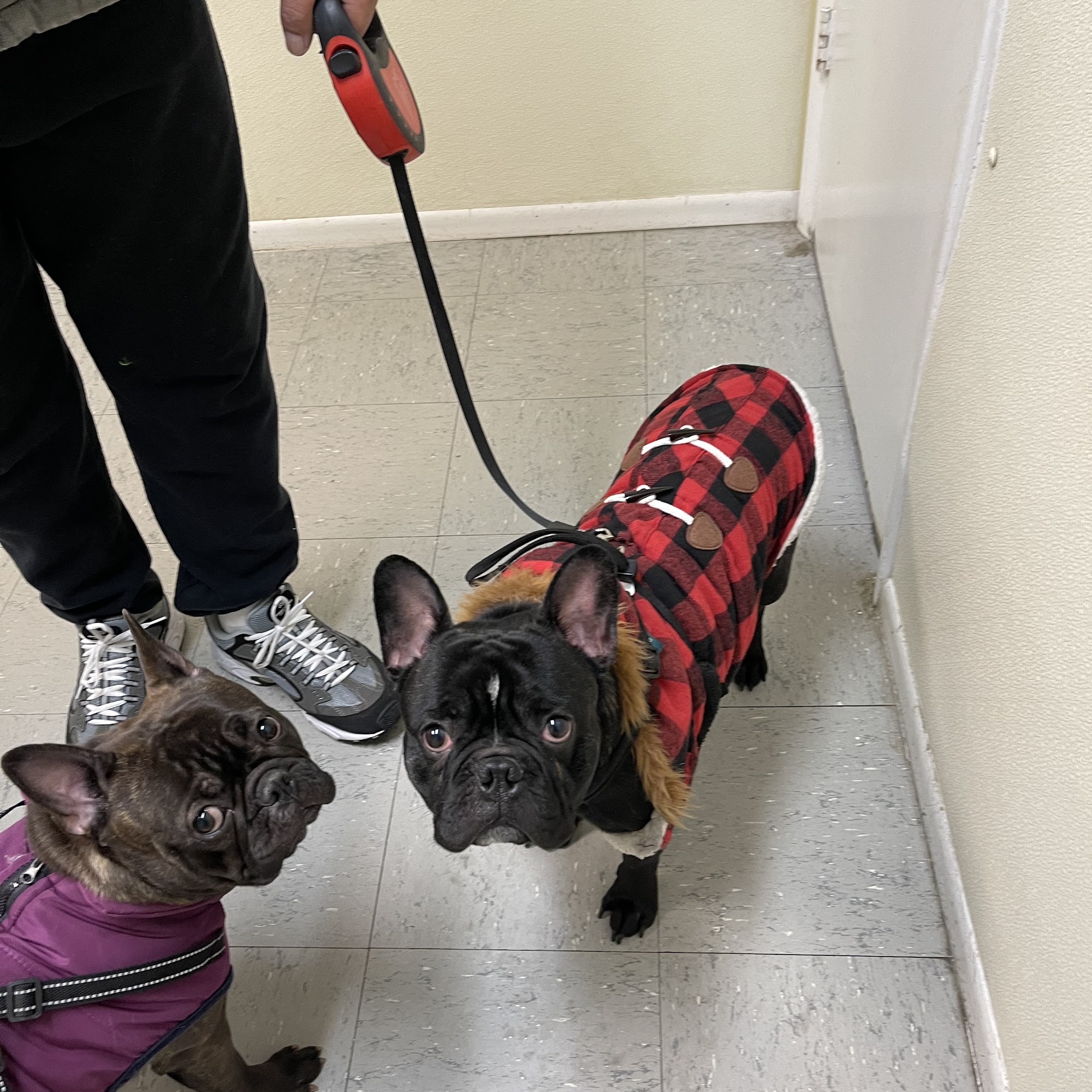 Alpine Glenn Veterinary Clinic Denver