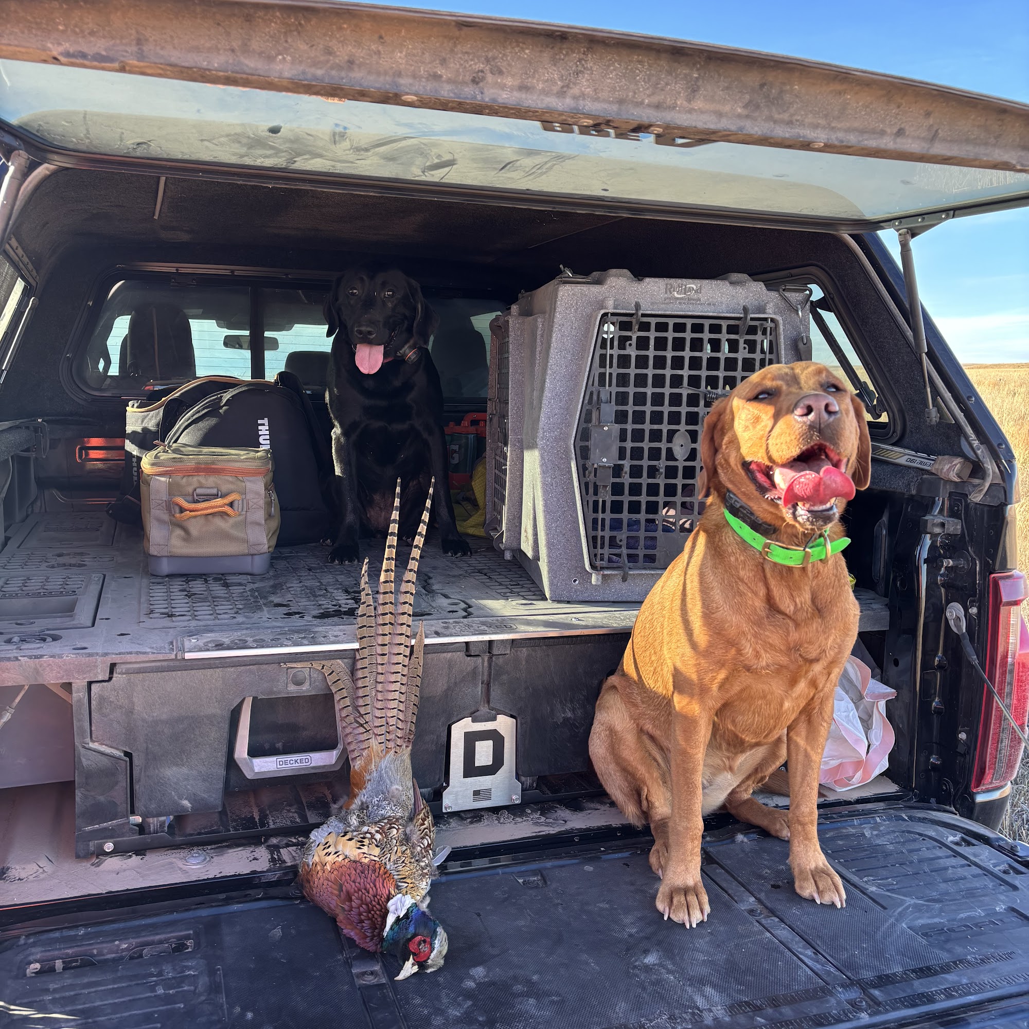 Goldsmith Veterinary Clinic Denver