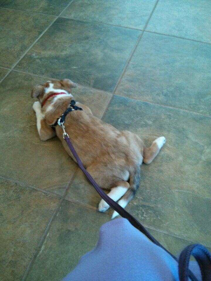 Photo credit: nextdoor