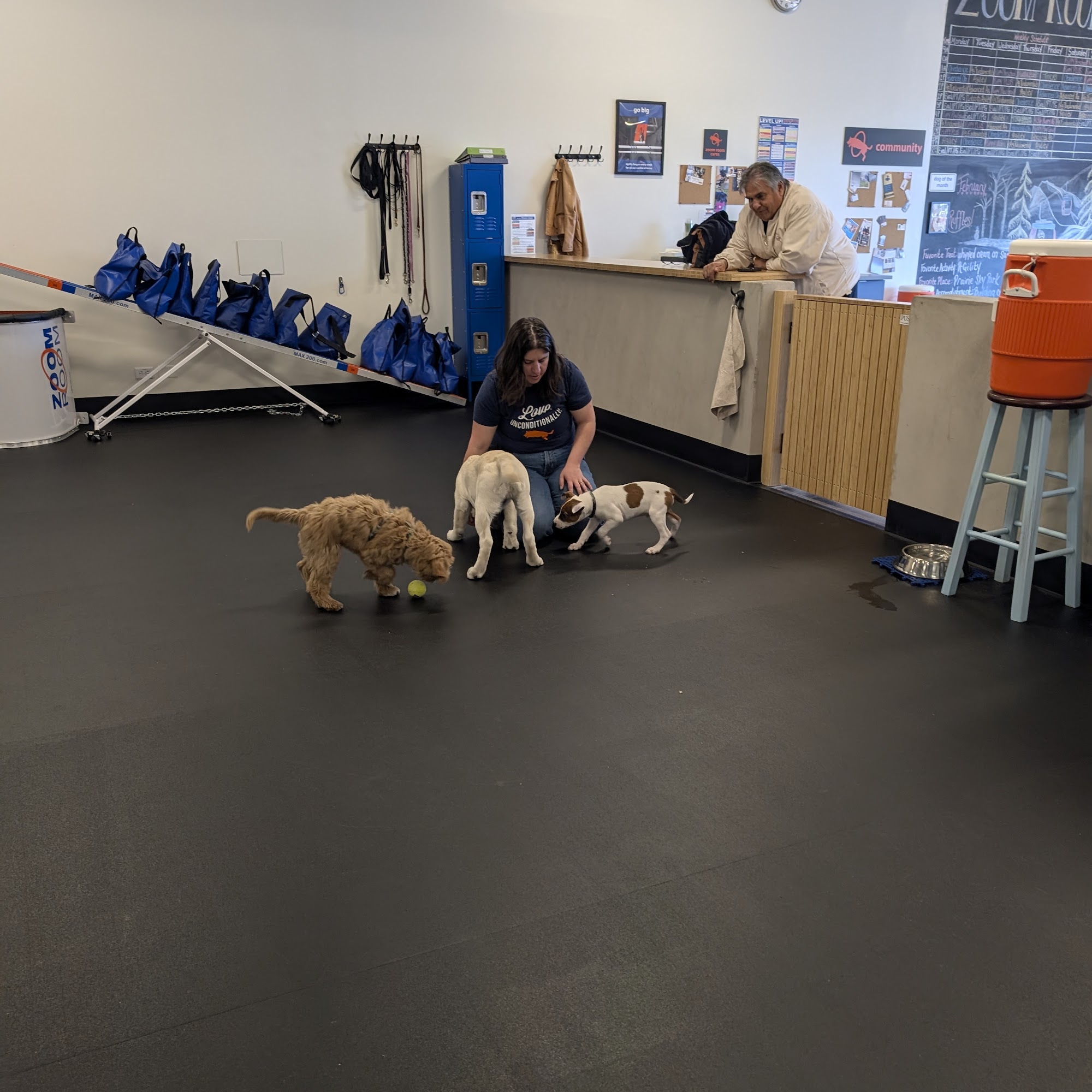 Bark Busters Home Dog Training Denver SouthEast Region Denver