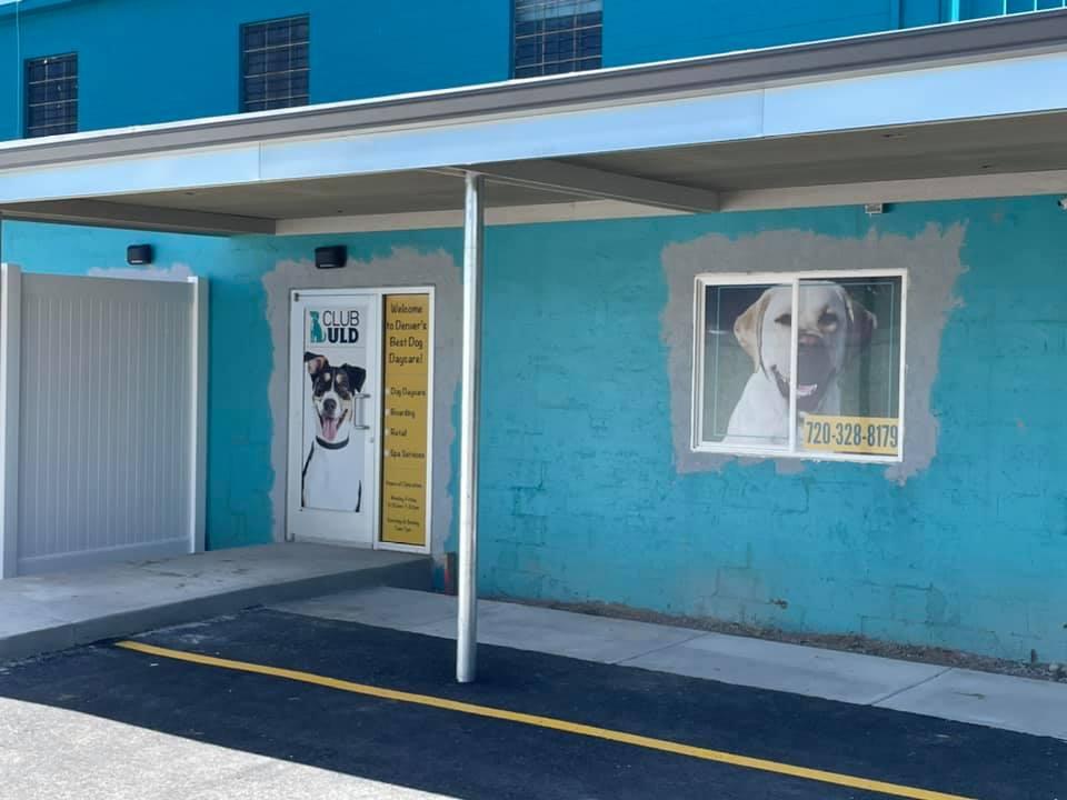 Club ULD - U Lucky Dog Daycare Denver
