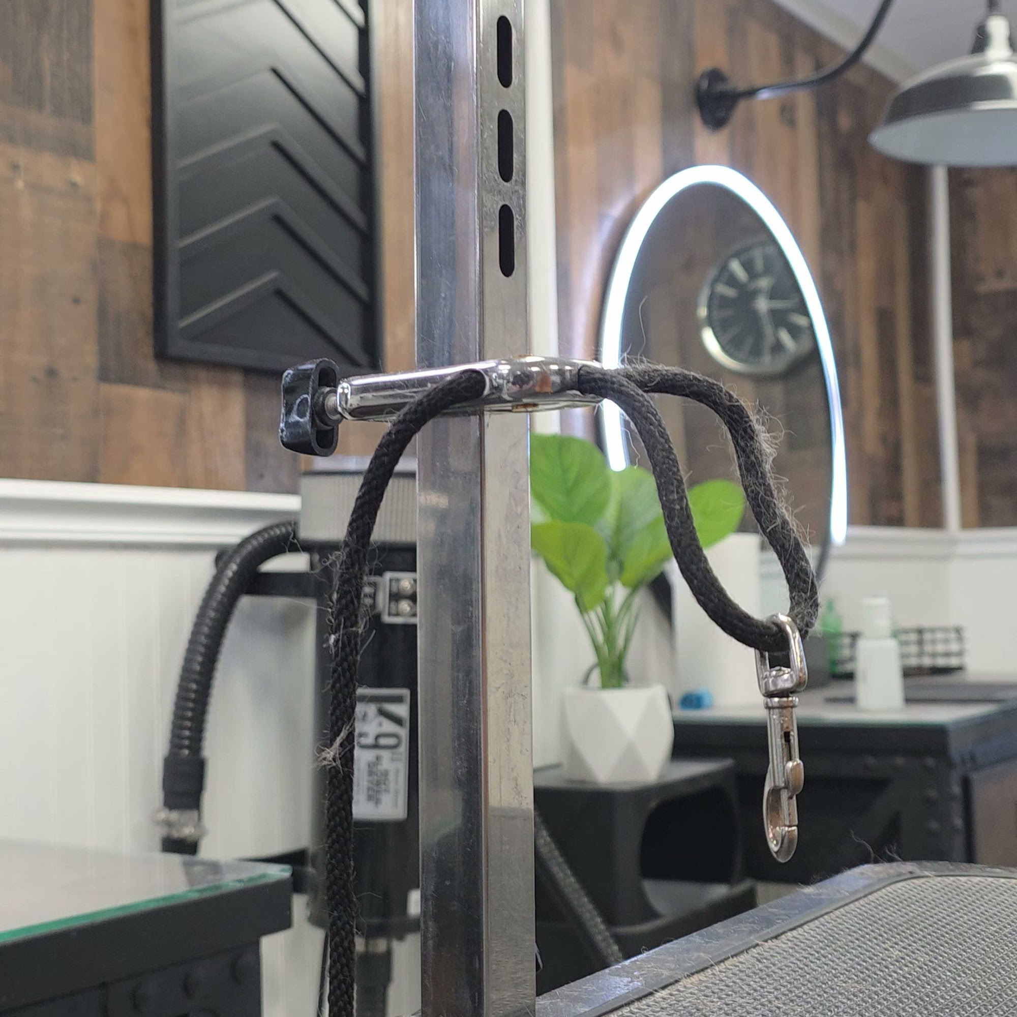 Spawology Pet Grooming Spa Denver