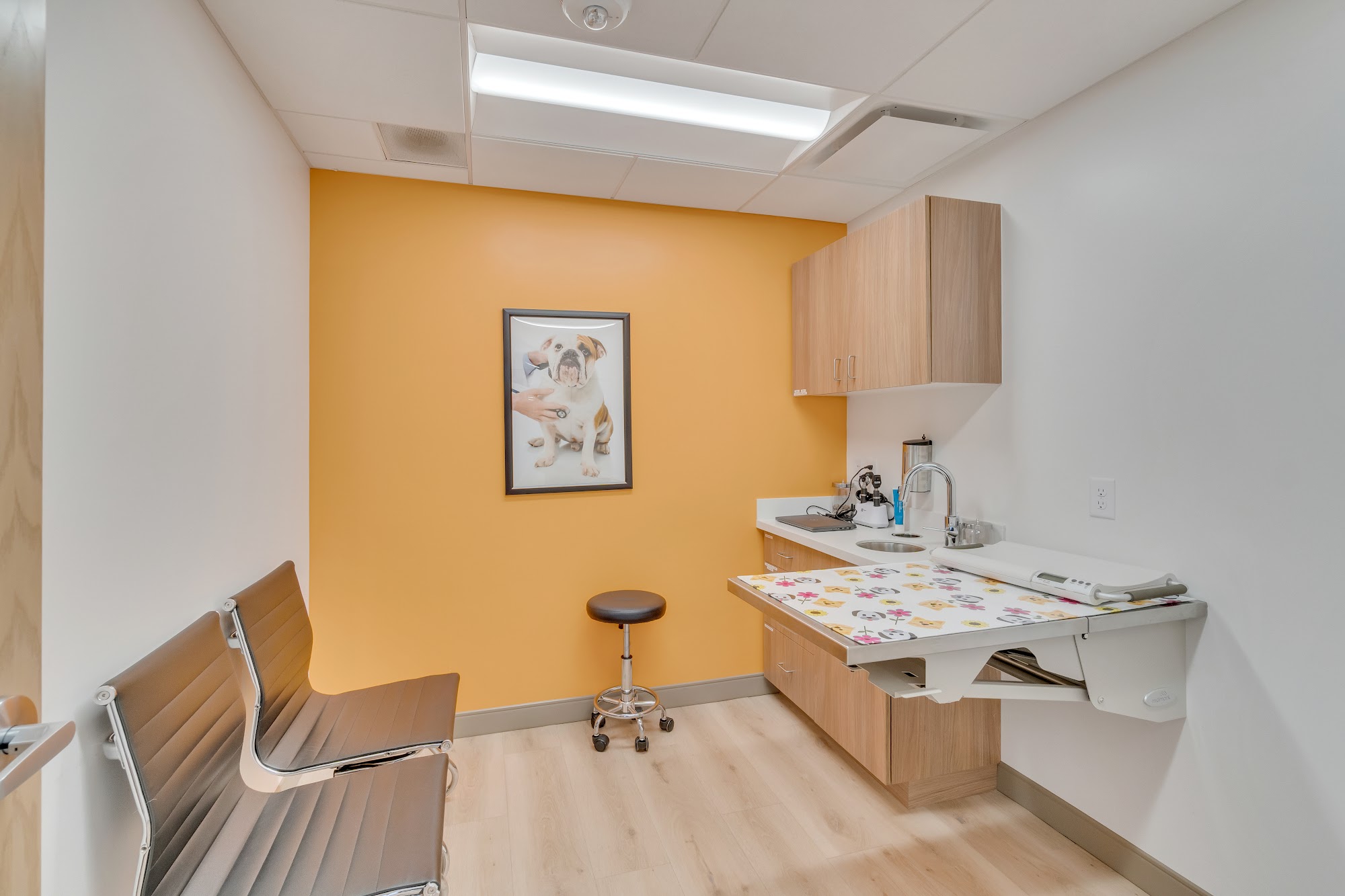 VetCare Animal Hospital Denver