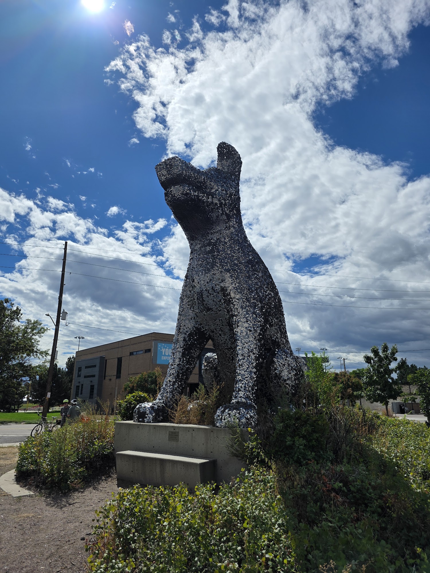 Denver Animal Shelter Denver
