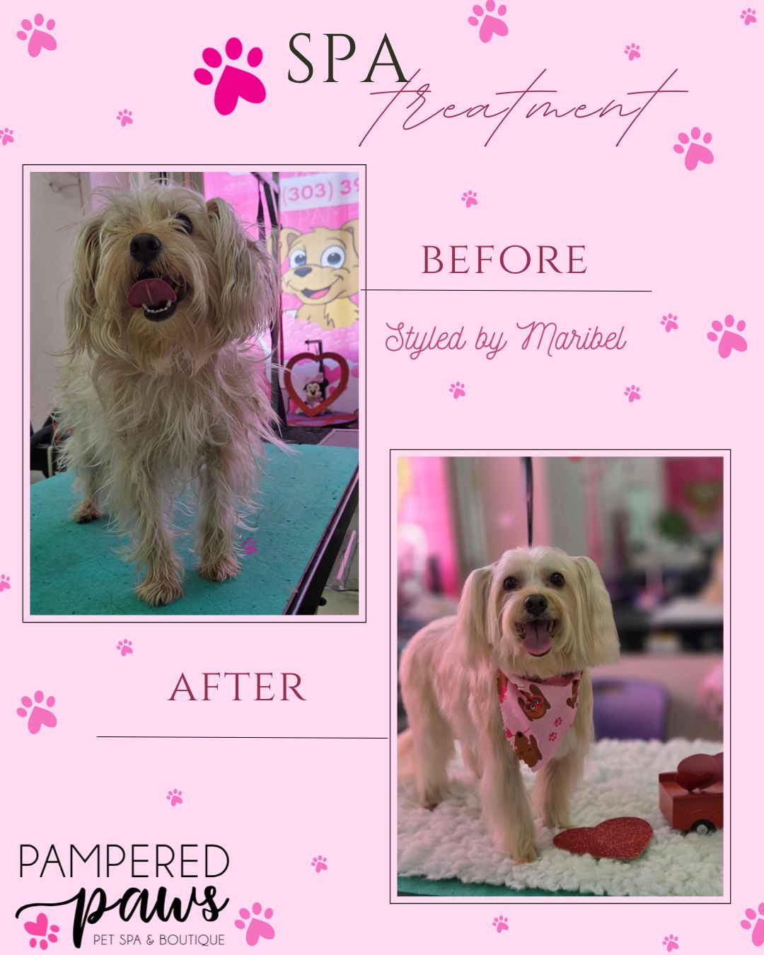 Pampered Paws Denver