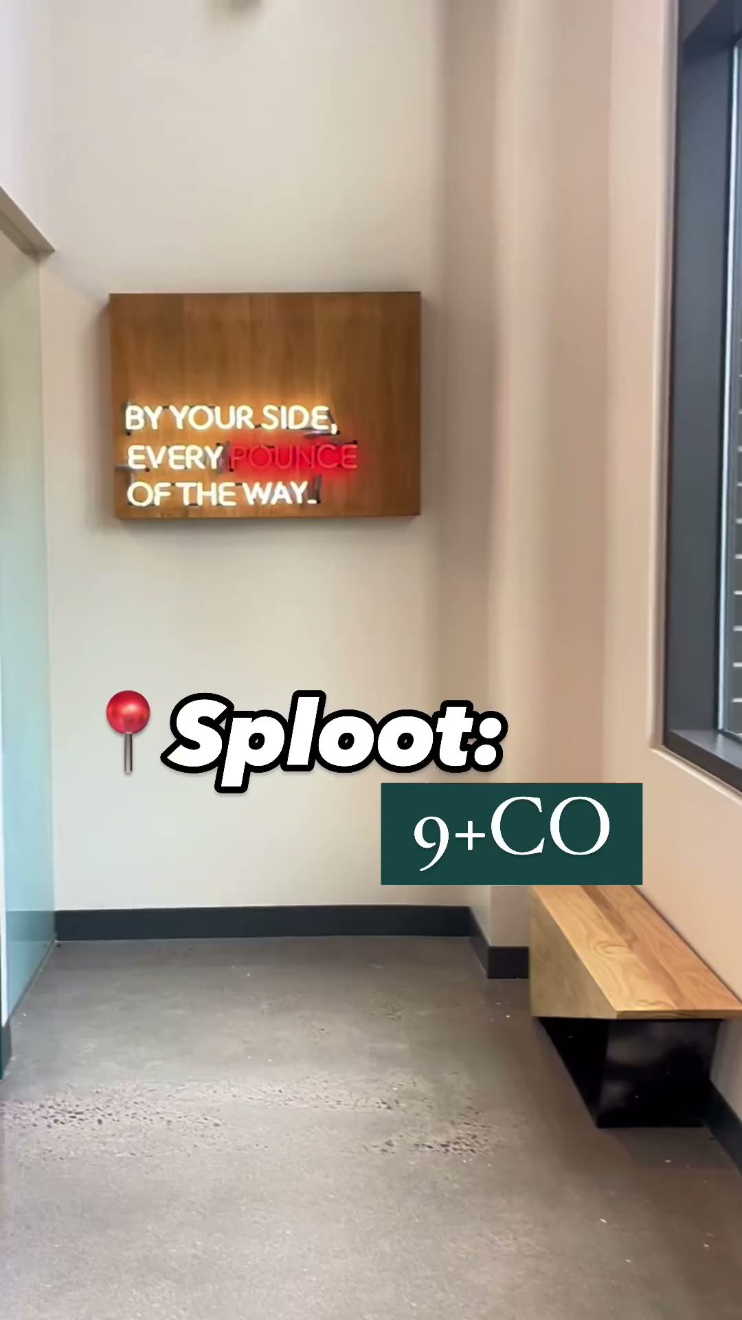 Sploot Veterinary Care - Highlands Denver