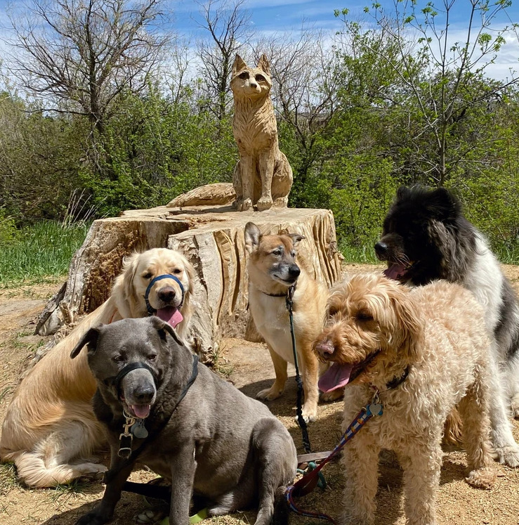 Tails Trails and More LLC Denver