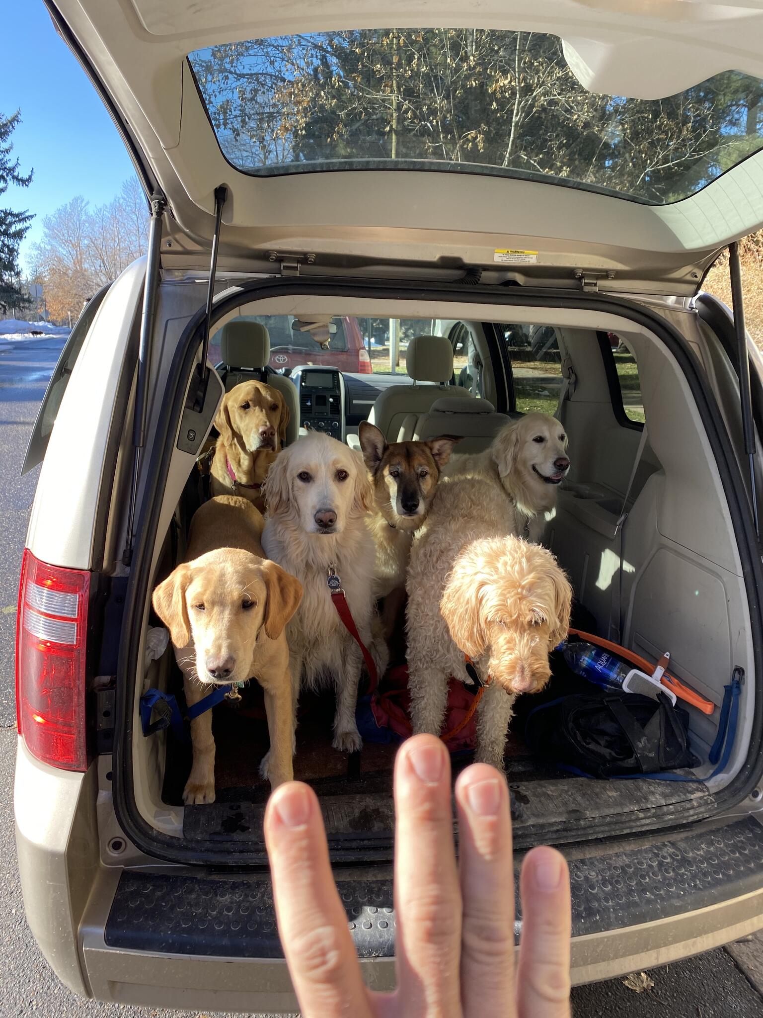 Photo credit: nextdoor