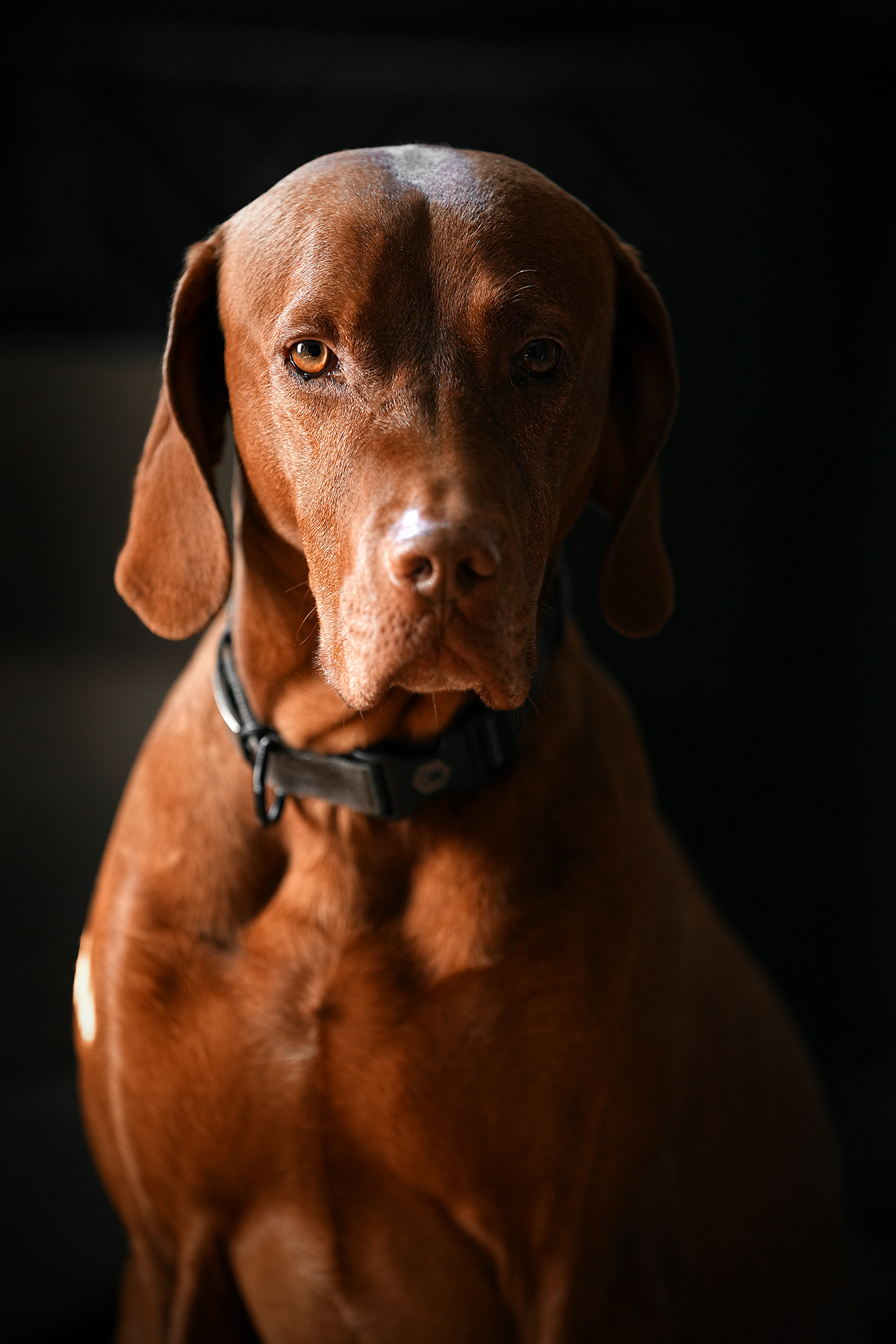 Marc Piscotty Photography