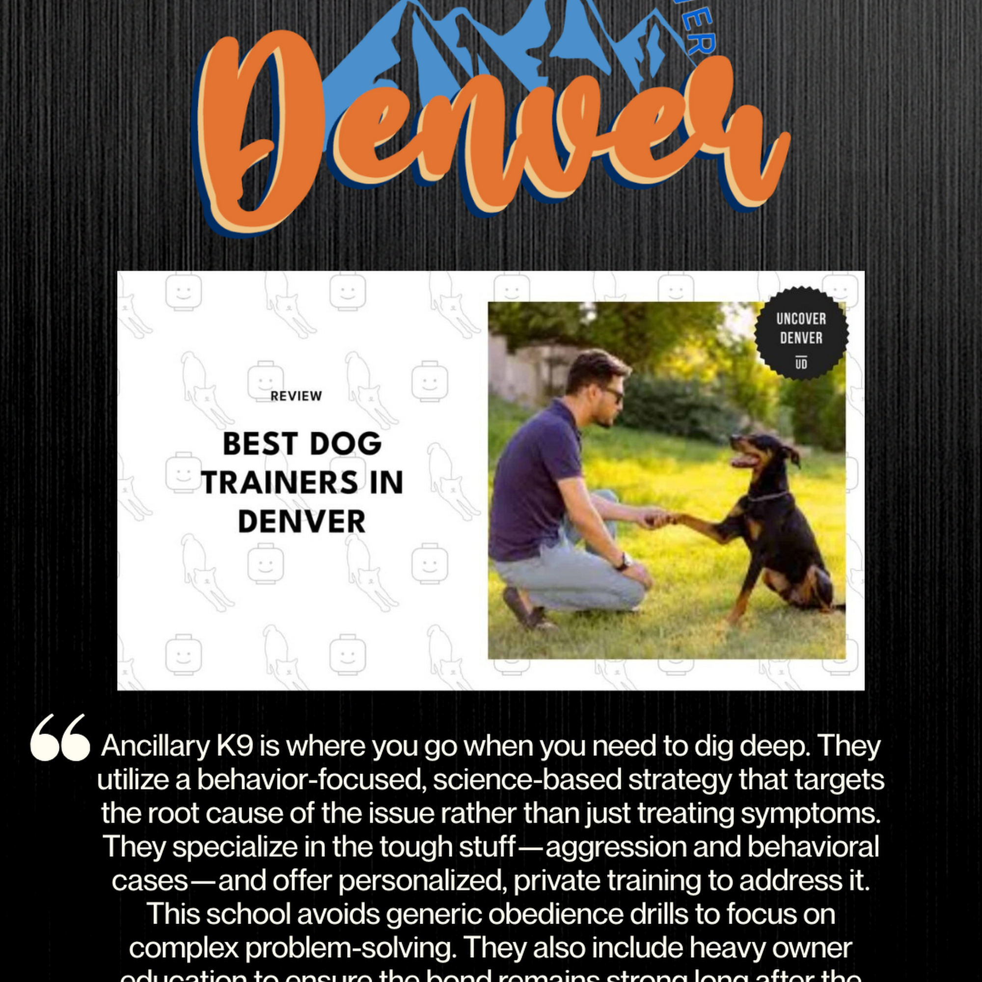 Ancillary K9 Dog Training Denver