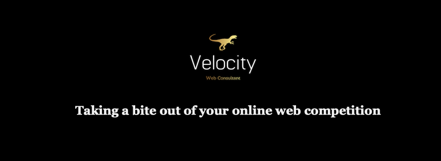 Velocity Web Consultant