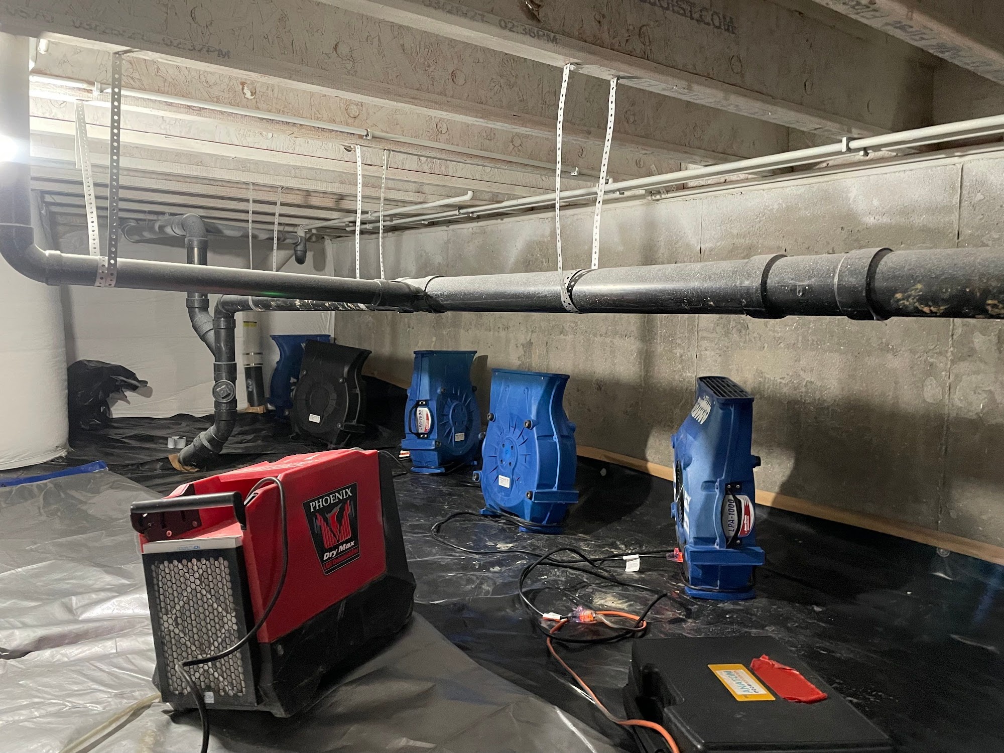 Anatom Restoration - Denver