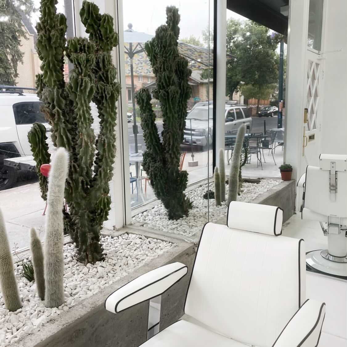 Barber Theory 1708 E 6th Ave, Denver Colorado 80218