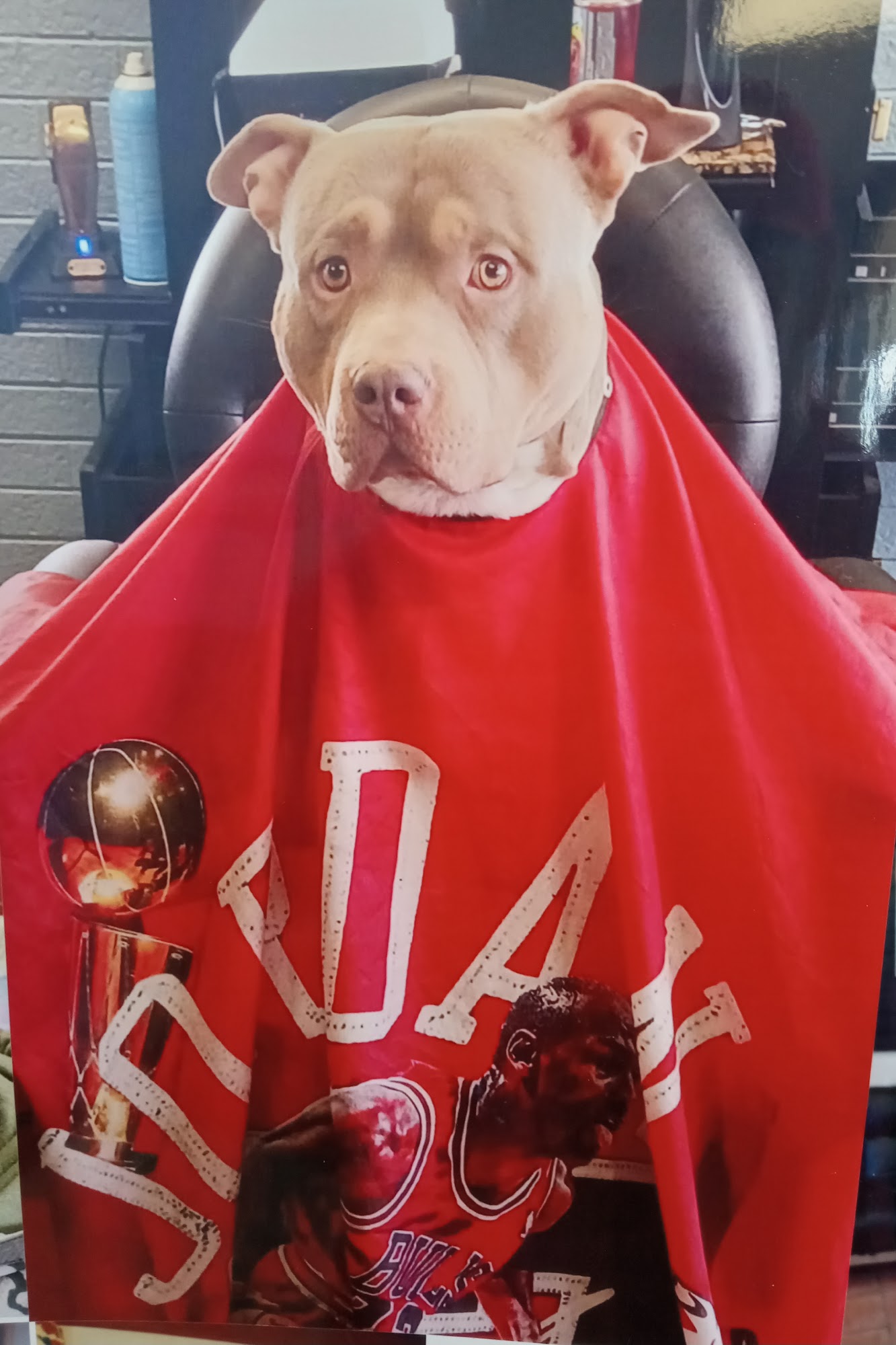 Hank's Barber shop 650 E 58th Ave, Denver Colorado 80216