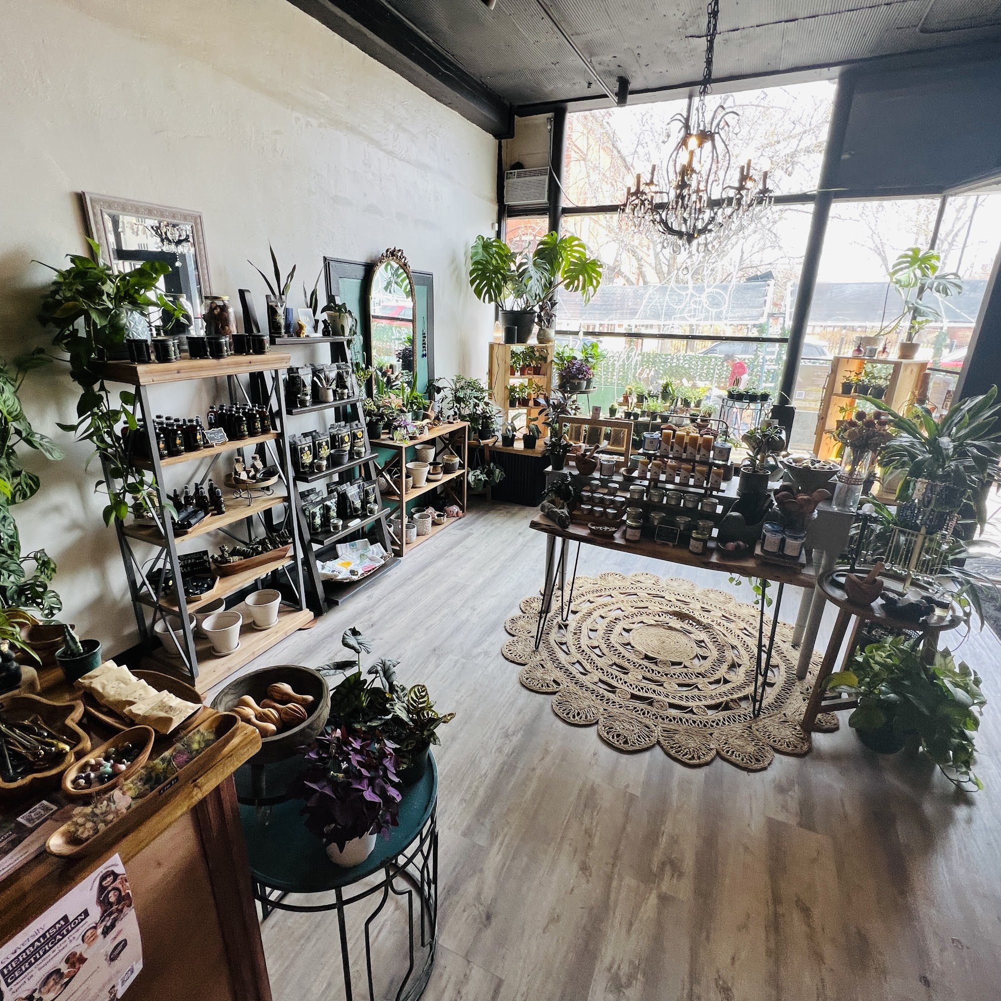 Balanced Root Apothecary Denver