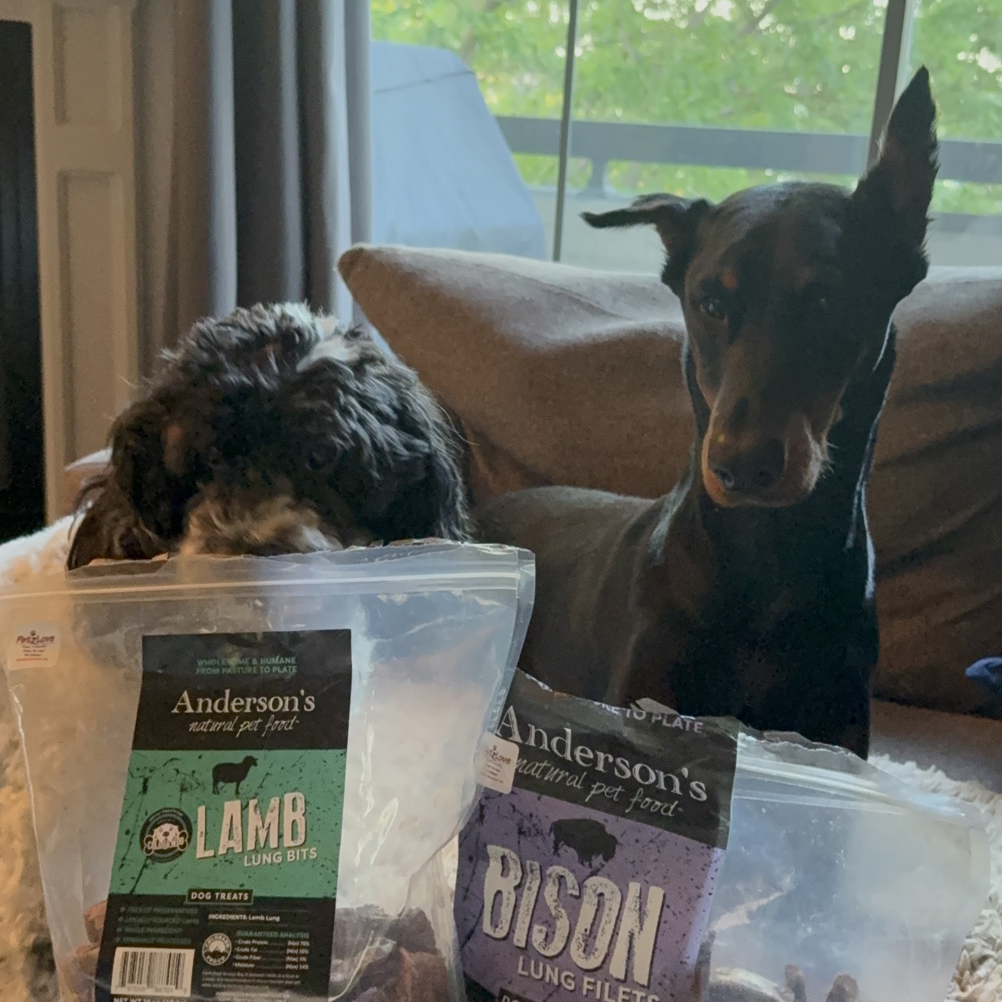 Anderson's Natural Pet Food Denver