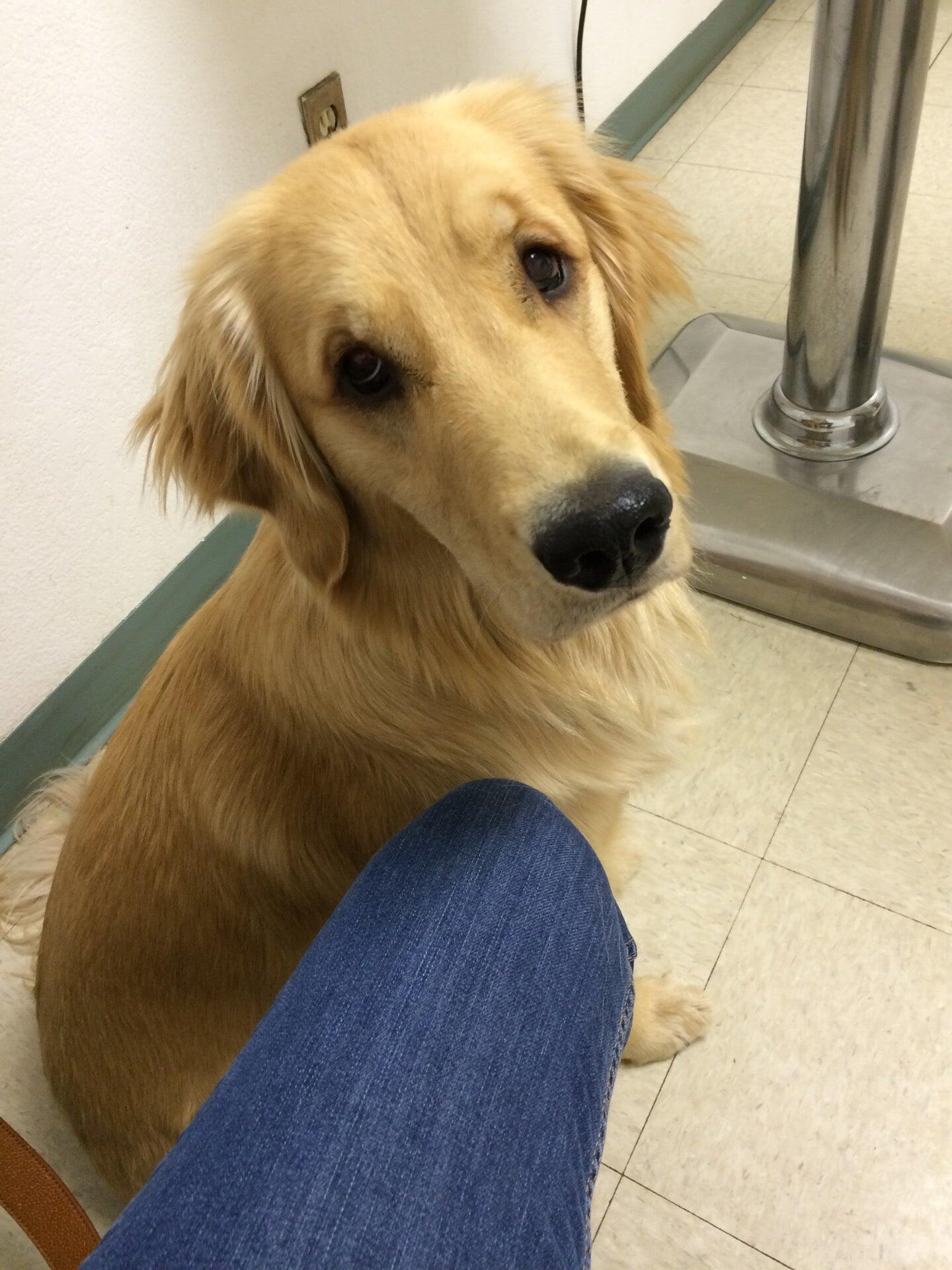 Mc CAW Meghan DVM Durango