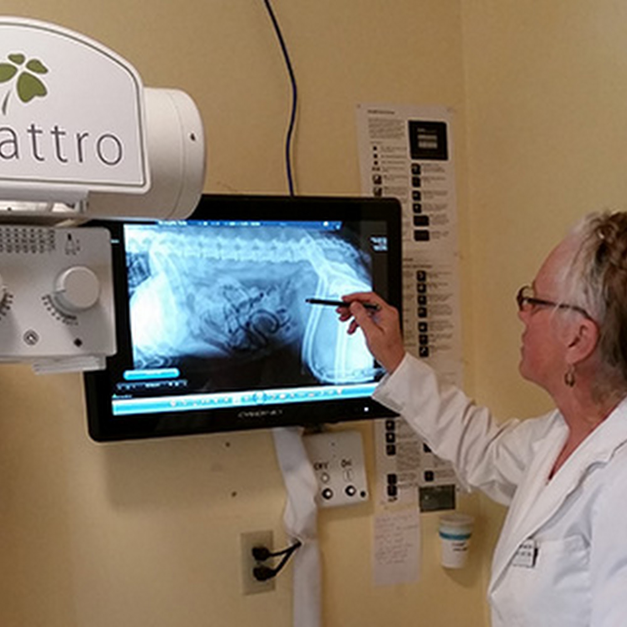 Kindness Animal Hospital Durango