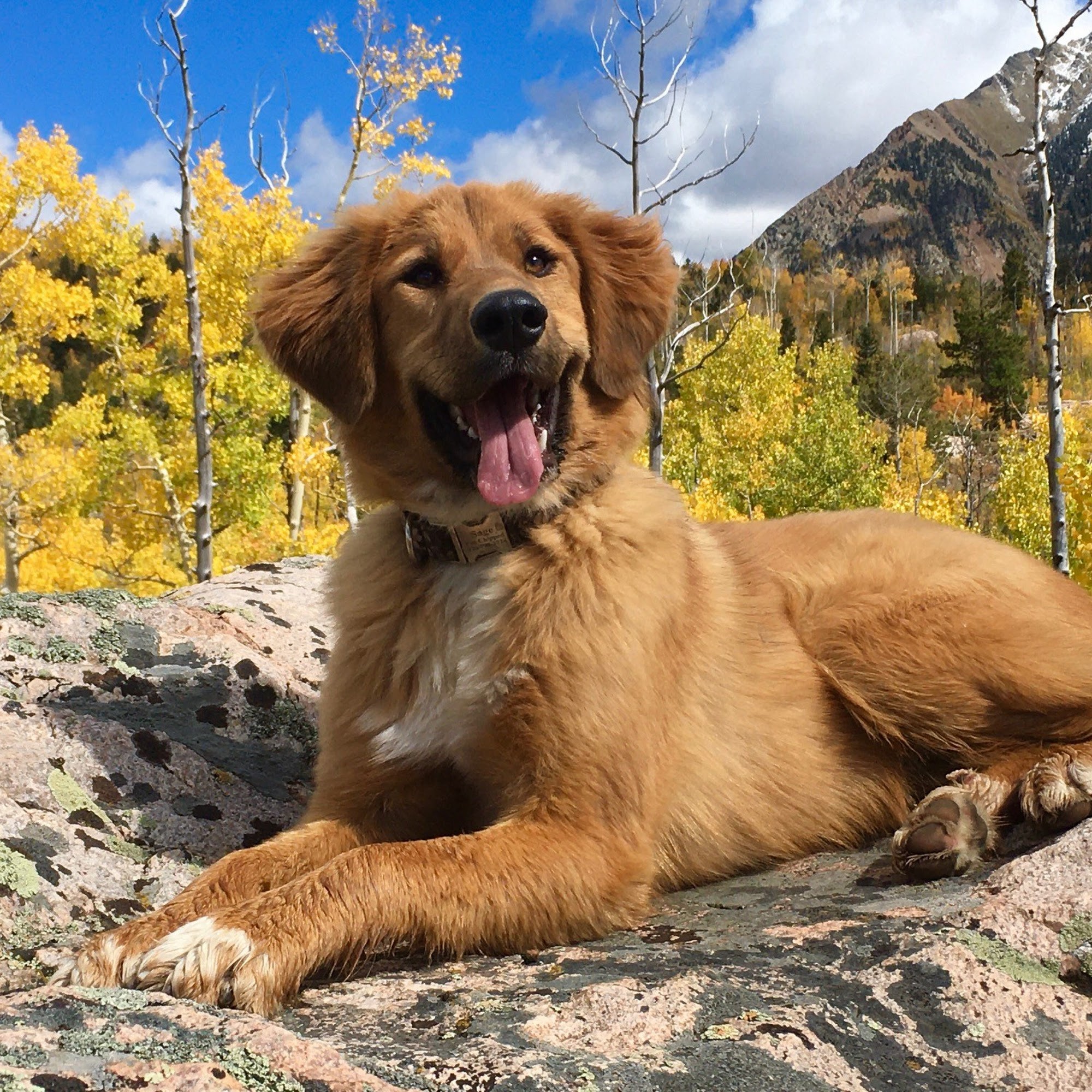 Baker's Bridge Veterinary Clinic Durango