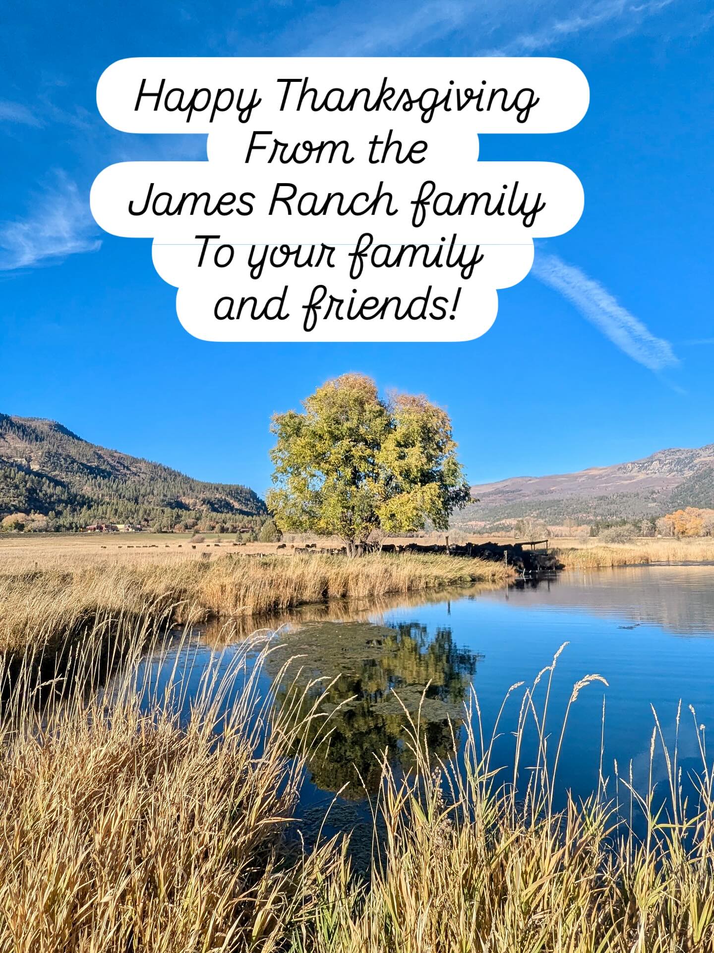 James Ranch Grill Durango