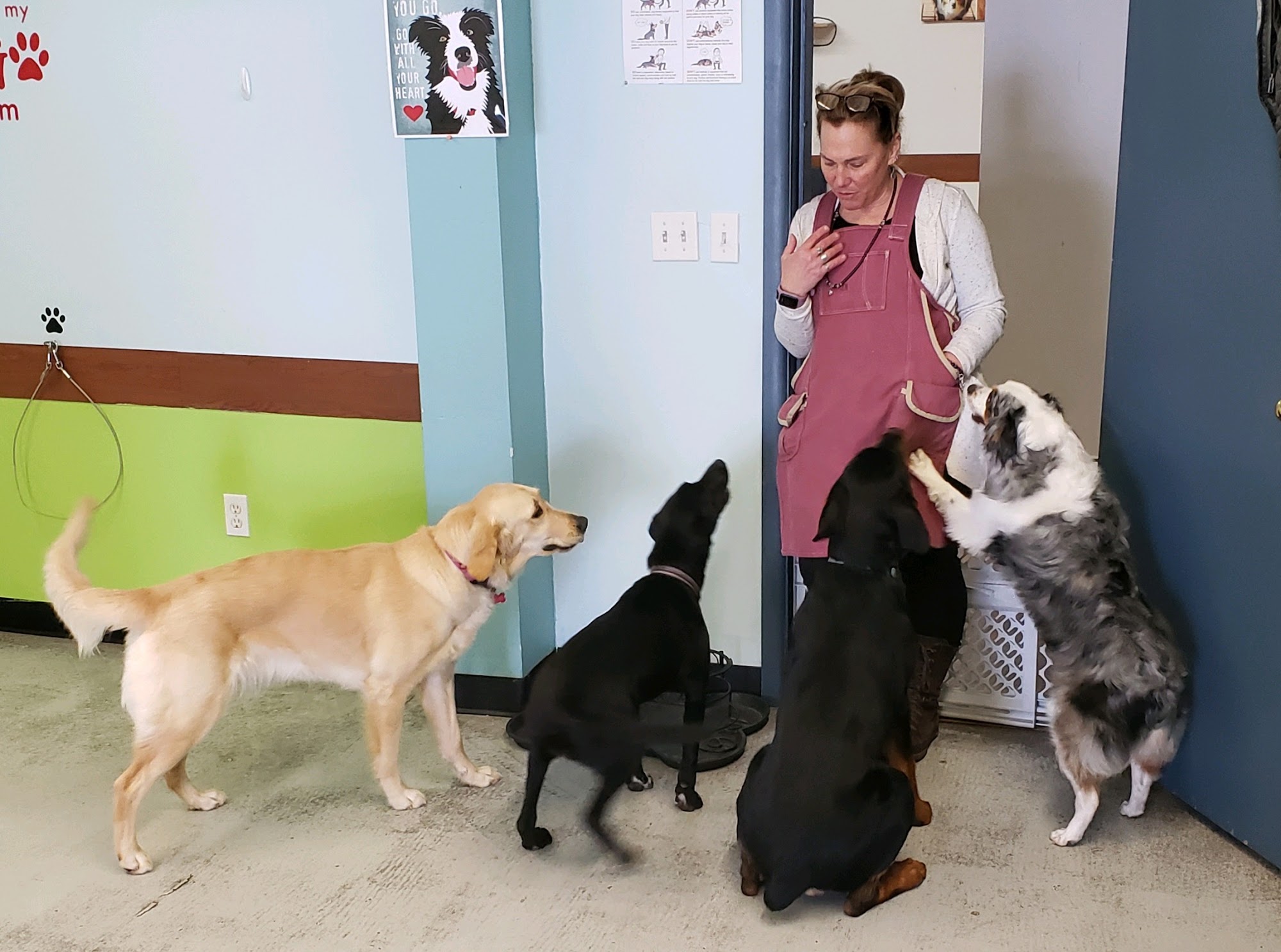 Wag Between Barks, LLC Durango