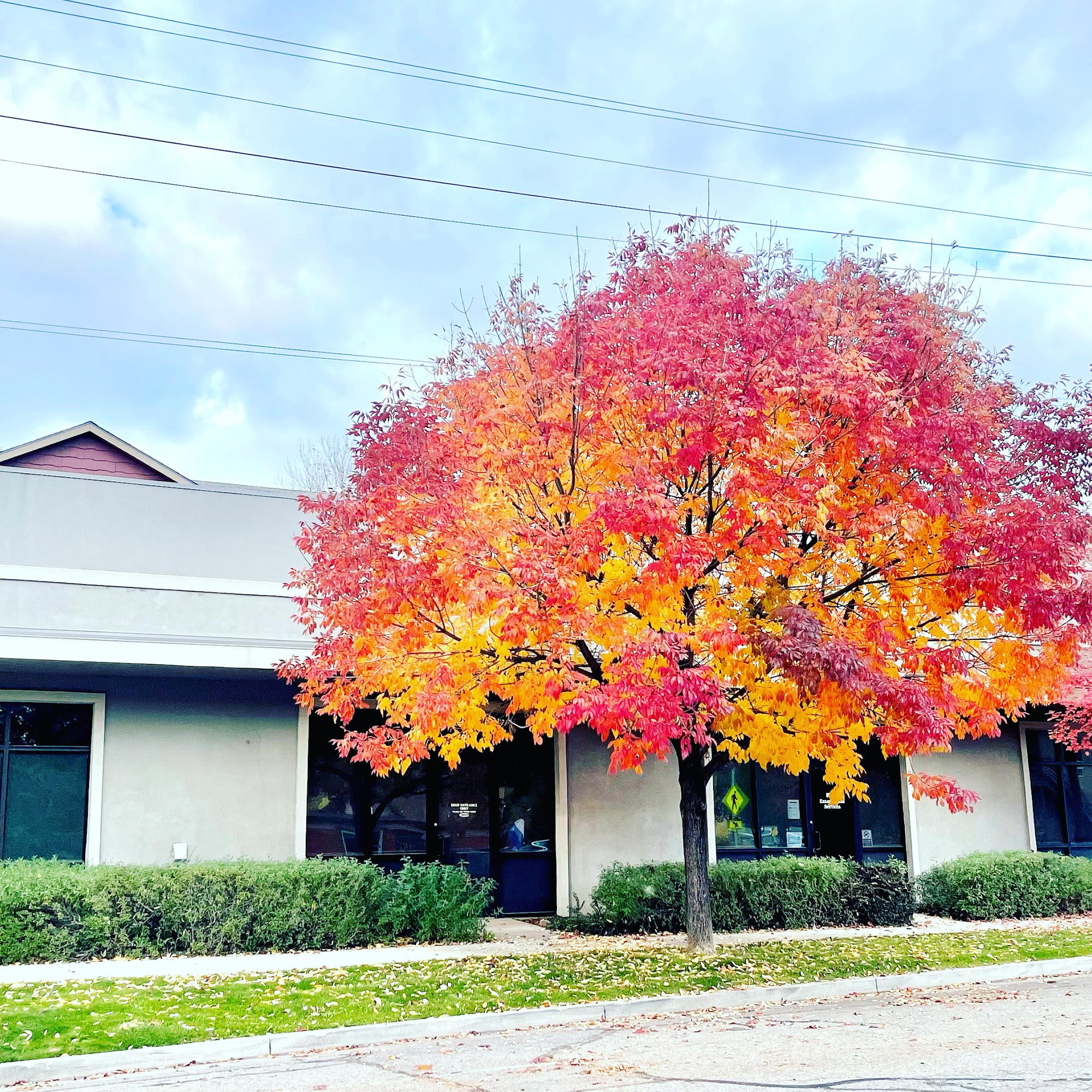 Animas Valley Audiology Associates