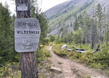 Great Old Broads for Wilderness Durango