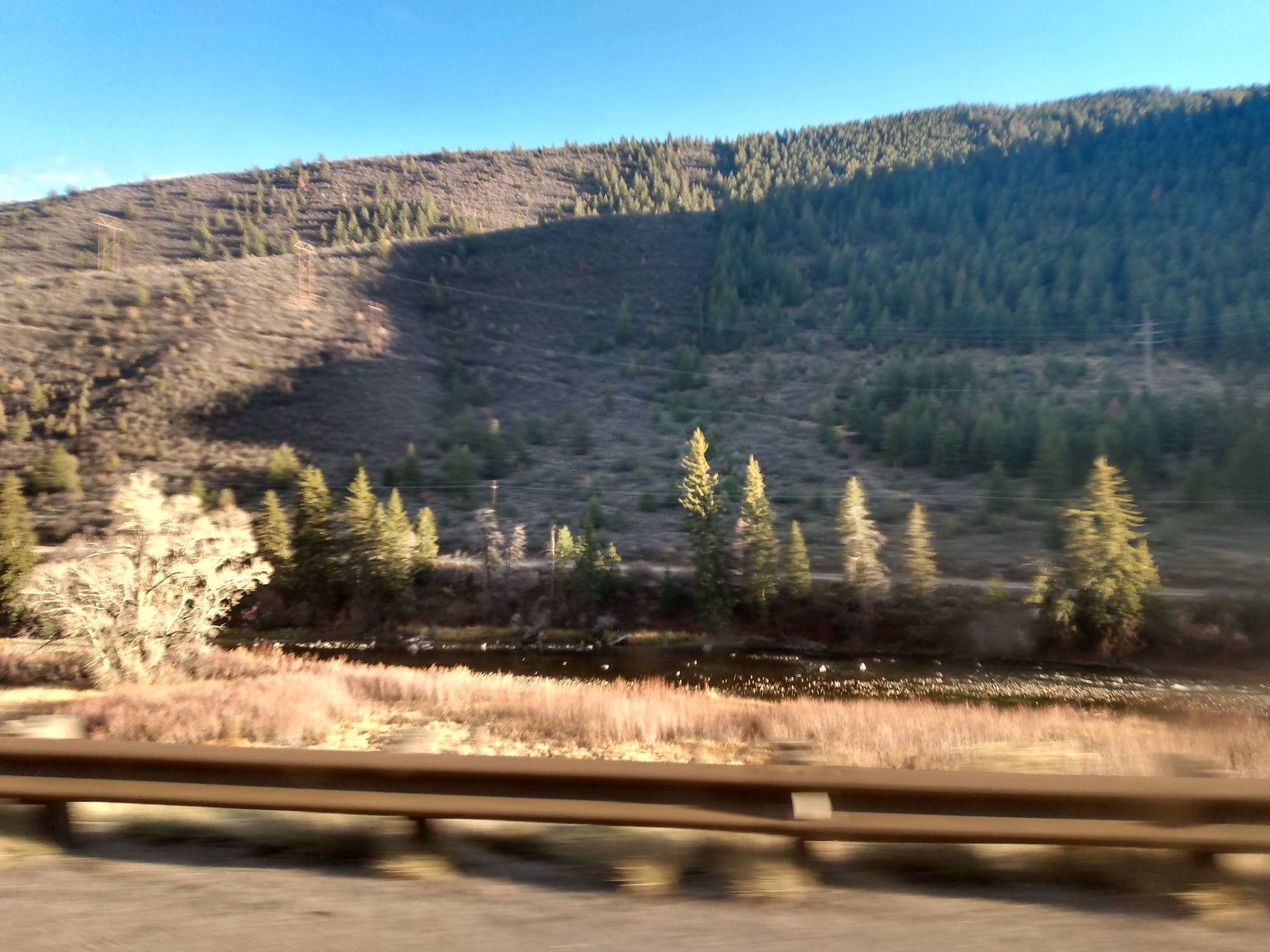 Eagle County Animal Services Eagle