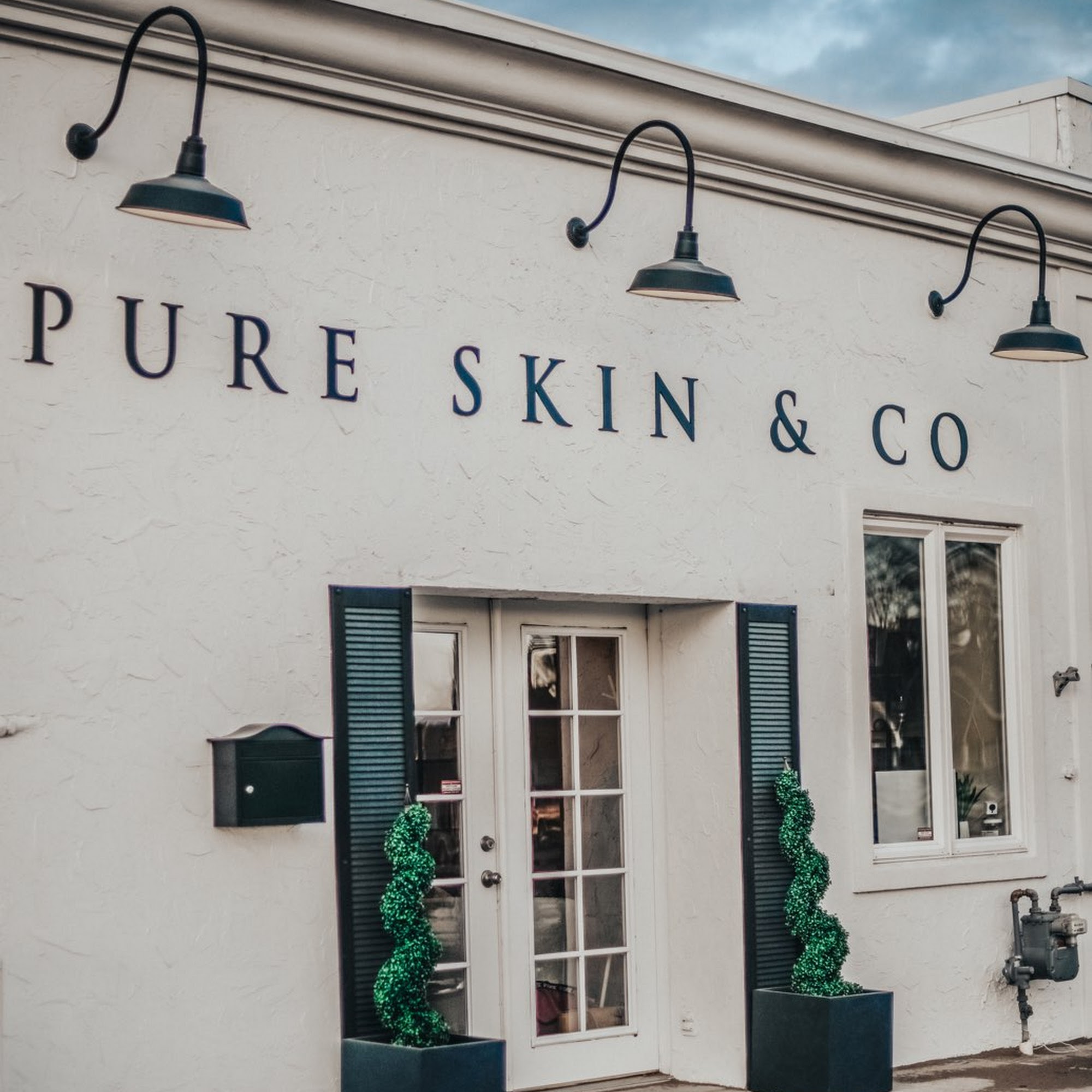 Pure Skin and Company