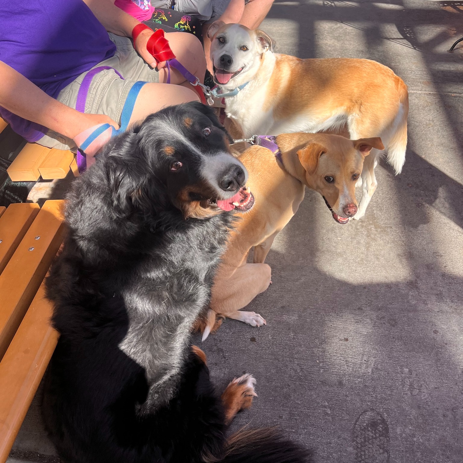 Rupert's at the Edge Edgewater