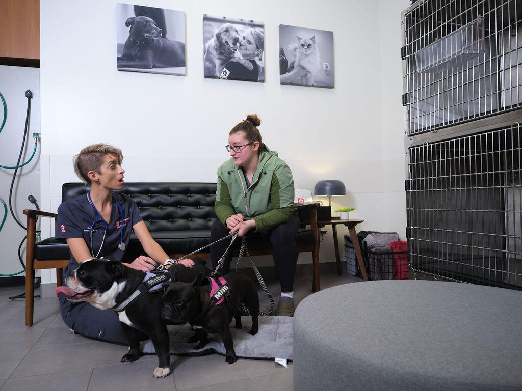 Veterinary Emergency Group Edgewater