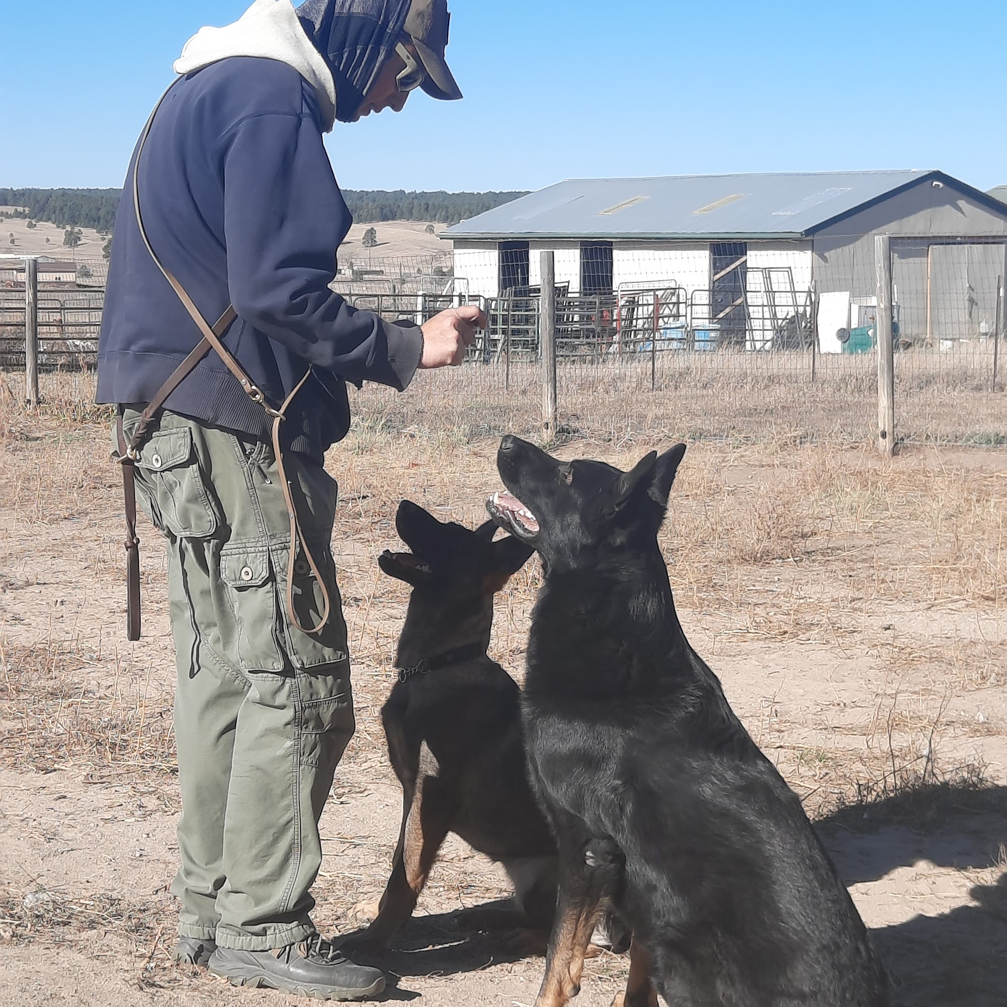 Mutt Masters K9 Academy