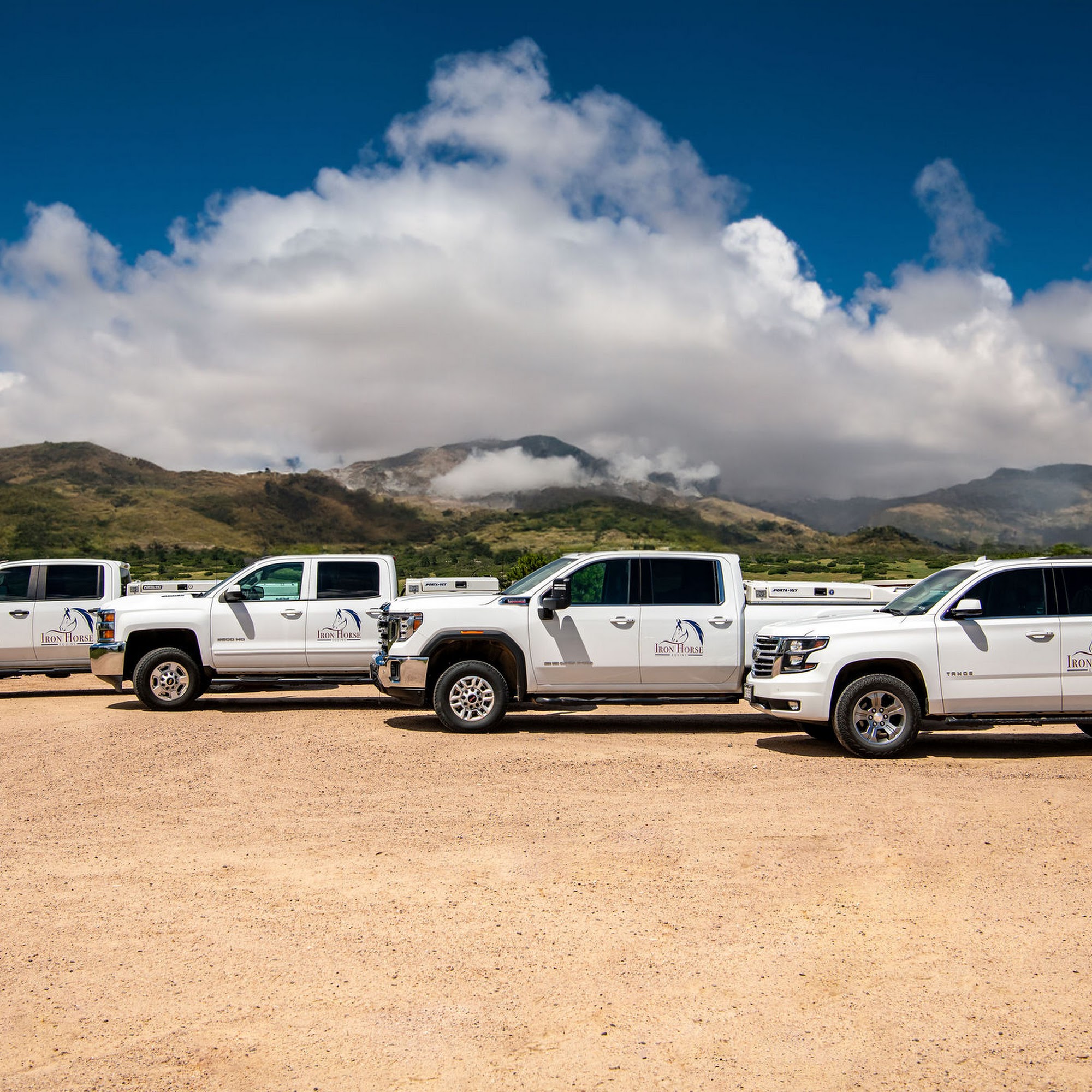 Iron Horse Equine Elizabeth